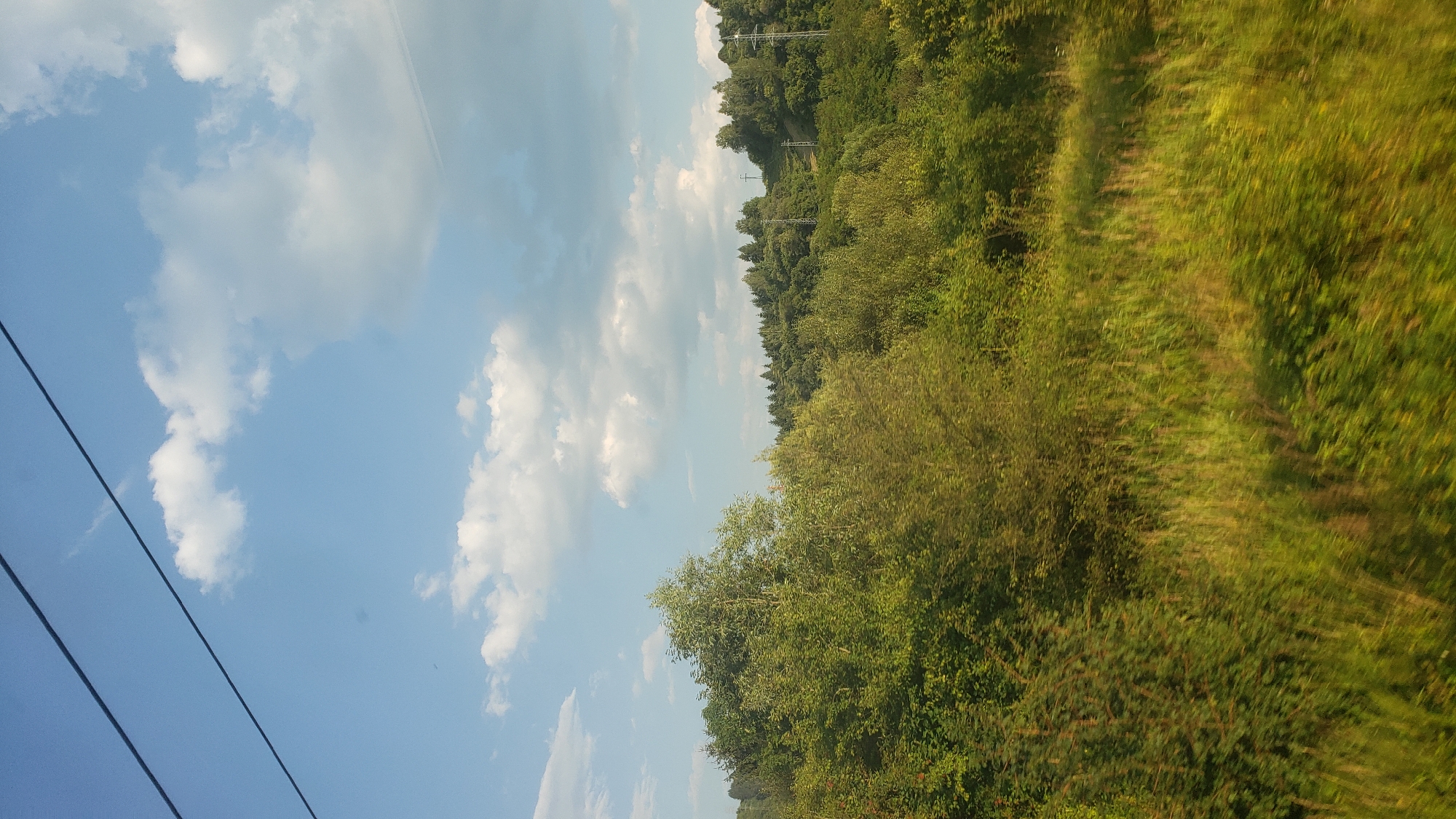 This is a vertical, eye-level, medium-wide shot of a tree-covered hillside and sky, taken from a moving vehicle, likely a train. The scene is set in the natural landscape surrounding Hubová, Slovakia, a rural area known for its green, undulating terrain. In the foreground, lush green grass and foliage are blurred due to motion, suggesting a rapid pass-by. The middle ground is dominated by a dense, varied forest with trees of different heights and shades of green. In the upper middle ground, the hillside rises, revealing more trees and a few visible power line towers. The sky above is a clear blue, punctuated by scattered white cumulus clouds. Two dark power lines are visible diagonally across the top of the image, further indicating that the photograph was taken from a transportation route. No people are visible in the frame.