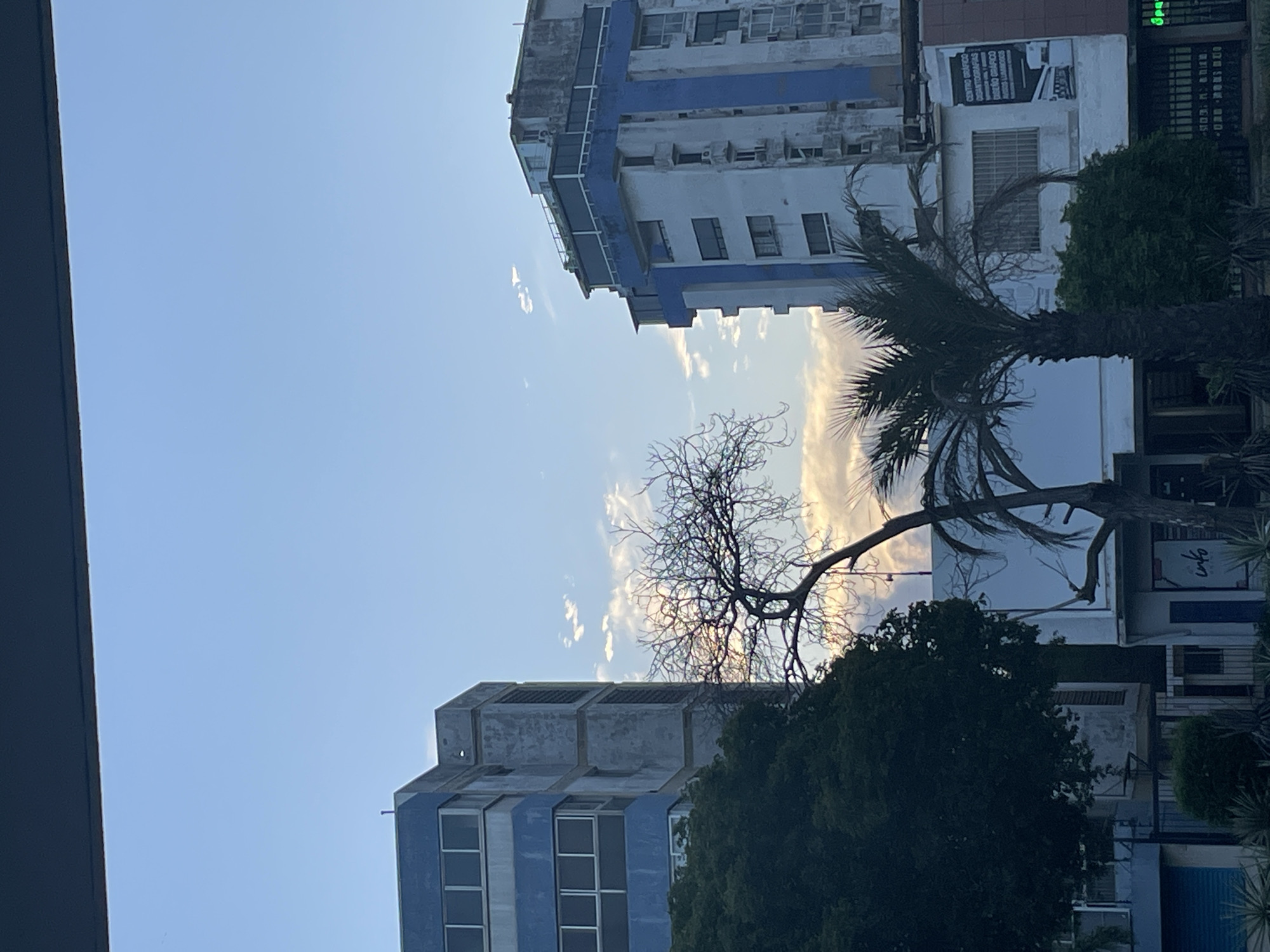 The image captures an urban scene in Porlamar, Venezuela, looking upwards towards the sky between two buildings. The buildings are aged, multi-story structures with a distinctive blue stripe accenting their facades. Architectural features like windows and balconies are visible. A tree with bare branches and a palm tree partially obscure the view of the buildings and contribute to the composition. The sky is blue with scattered clouds, indicating daylight. The overall impression is of a somewhat worn urban landscape under a bright sky.