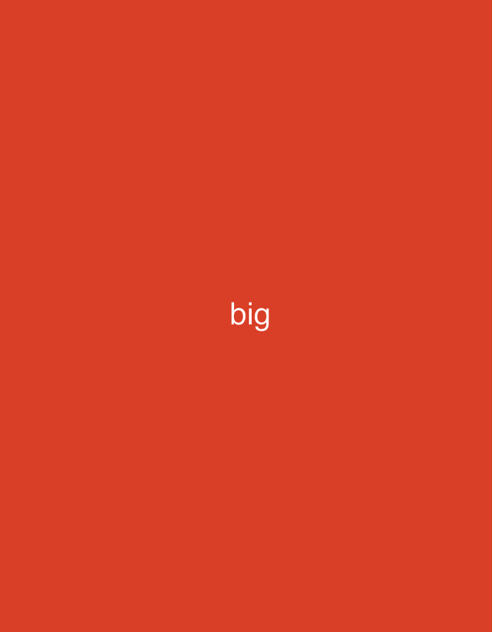 The image contains the word "big" in white text, centered on a plain orange background. There are no people, objects, actions, interactions, or environmental details visible in the image, nor is there any geographical information pertaining to Jauro Yinu, Nigeria.