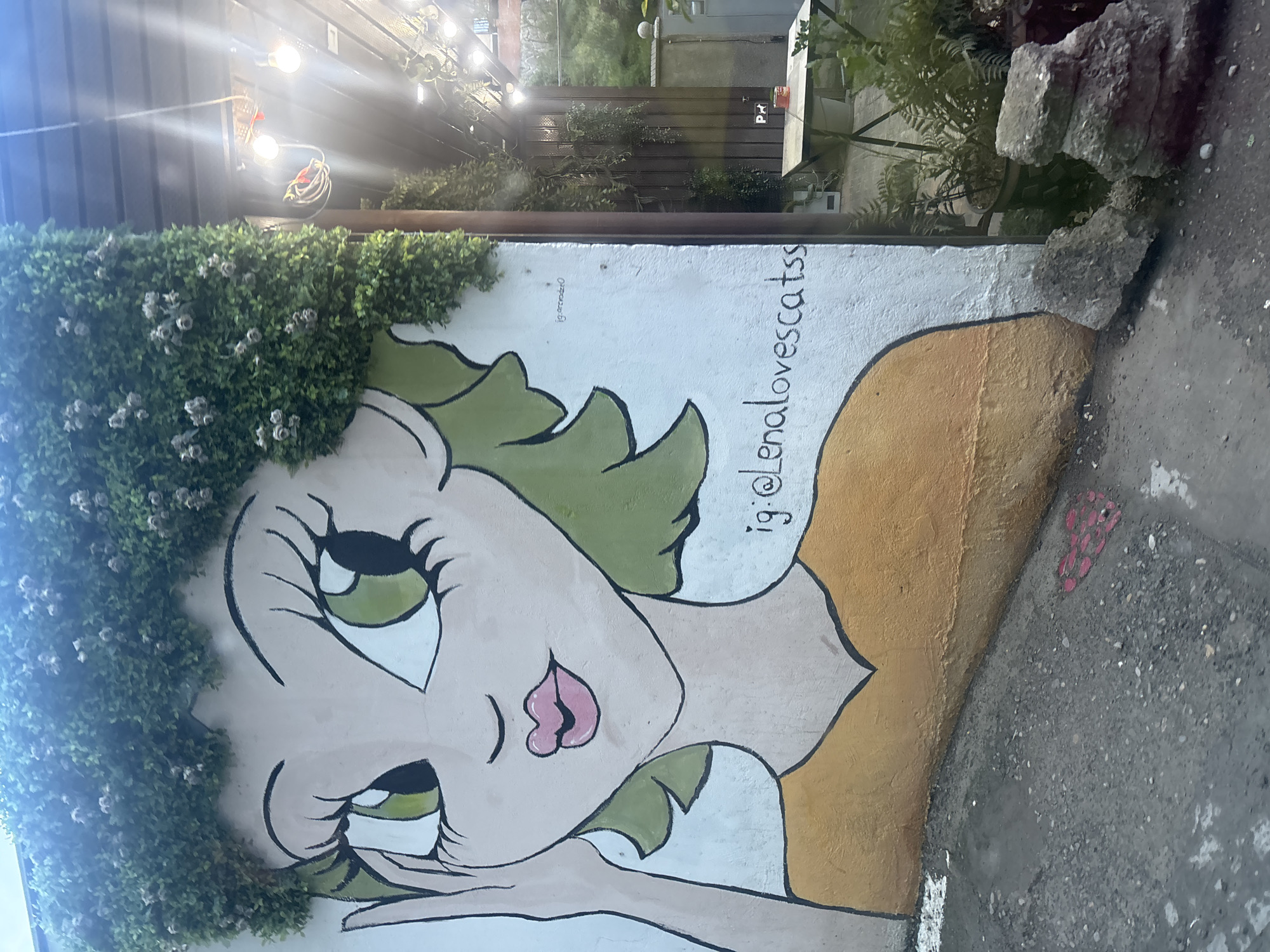 This is a photograph of a mural on a wall, possibly located in Tbilisi, Georgia based on the Instagram handle "jg: @lenalovescatss" that is painted on the wall. The mural features a cartoon-like depiction of a woman with large eyes, pale skin, pink lips, and green hair. Greenery, including flowers, is incorporated into the mural as part of the woman's hair. The woman is wearing a yellow top. The wall is next to a stone surface, possibly a street or sidewalk. Above the mural, there's a partial view of outdoor lighting fixtures and foliage, suggesting a patio or outdoor area is nearby.
