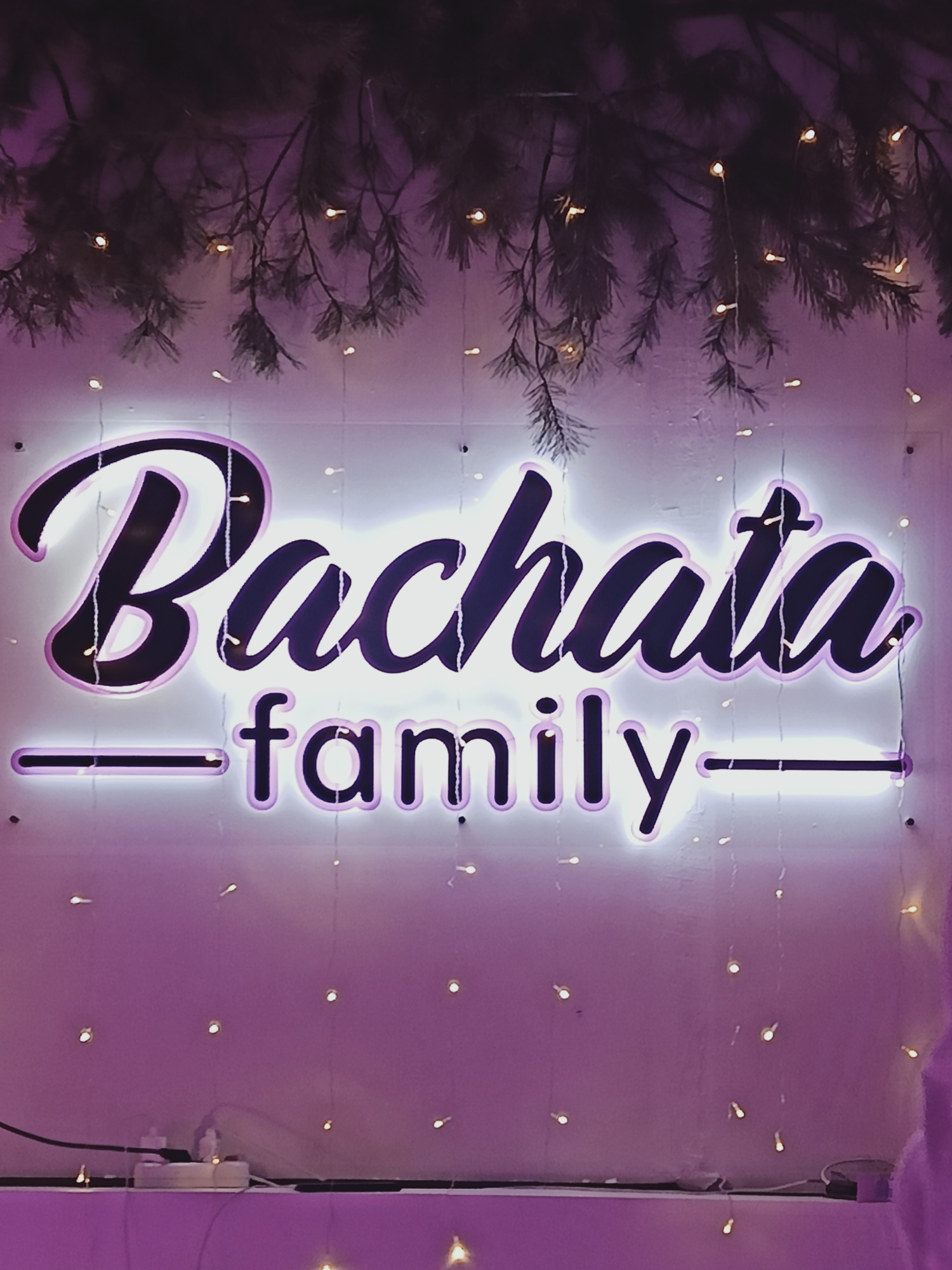 A close-up, indoor shot depicts a sign that reads "Bachata family" in illuminated script, set against a white wall. The sign is adorned with dark-purple bordering, and the overall illumination gives off a purple hue, which is further accentuated by the ambient purple lighting and string lights dotted around the sign. Above the sign, there are dark green branches or foliage, also illuminated by string lights.
The bottom of the image shows a white shelf or surface, with electrical cords and a power adapter visible, which indicates that the sign is powered by an electrical source. There are additional string lights draped down in front of the wall and sign.
Given that "Bachata" typically refers to a type of music and dance, this sign likely advertises a dance studio or social club. The location details (Chaikovsky, Russia) are unknown.