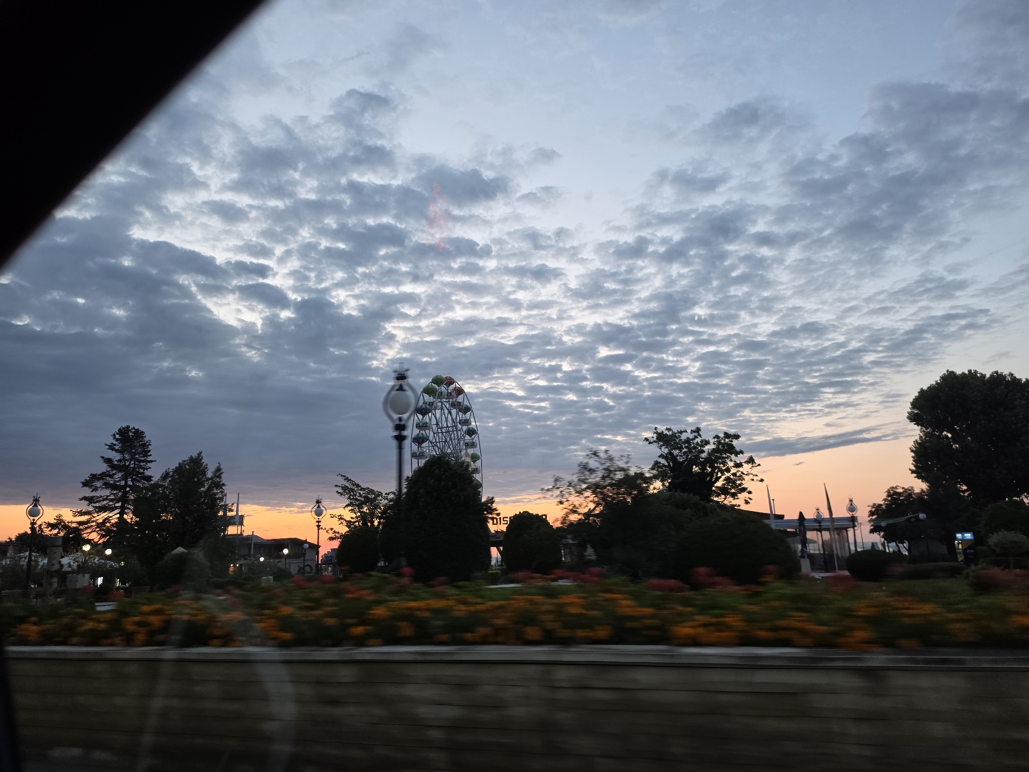 This is an eye-level shot of the Varna City Center and Sea Garden from a moving vehicle, captured during twilight. The sky is filled with scattered clouds in varying shades of gray and blue, with a hint of orange from the setting sun near the horizon. In the background, a Ferris wheel stands prominently, a common sight at amusement parks or fairgrounds, suggesting this is likely the area around the Varna Dolphinarium or the city's central park. A variety of trees, some tall and slender, others bushy and dense, dot the landscape, intermingled with what appear to be buildings and streetlights. The foreground is dominated by a blurred expanse of colorful flowers, primarily in shades of orange and yellow, indicating a well-maintained park or garden area. The motion blur suggests the photograph was taken while in transit, possibly from a car. There are no people or animals clearly visible in the frame. The overall impression is of a serene, picturesque evening scene in Varna.