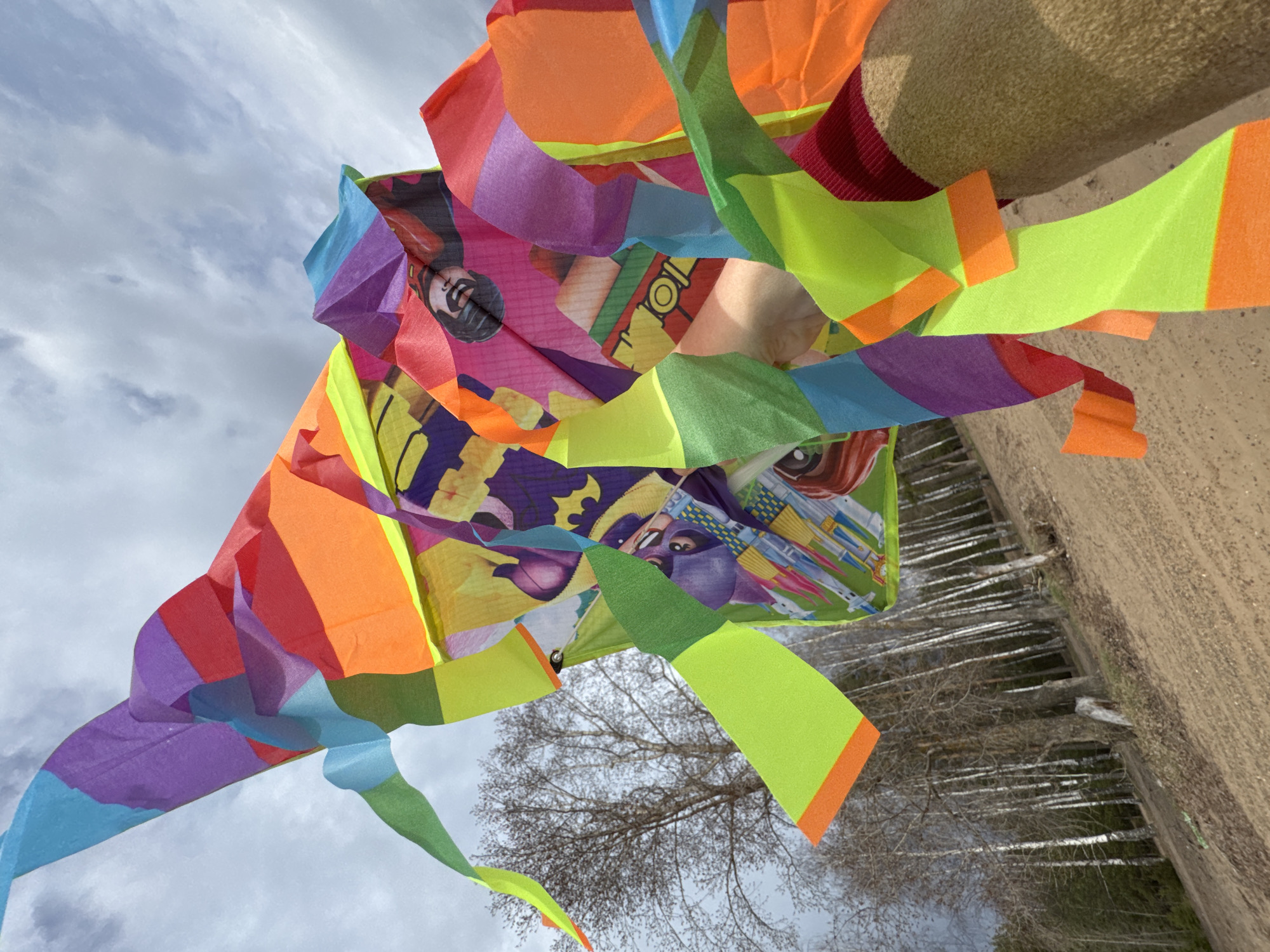 A brightly colored kite is shown against a sky with overcast clouds. The kite is composed of colorful panels and streamers in shades of orange, yellow, purple, and blue. Some panels feature cartoon images, including characters resembling Batman. The background also shows a partially obscured tree and what appears to be a field or dirt area. The image orientation is tilted. The city of Noviy, Russia is not discernible in the image.