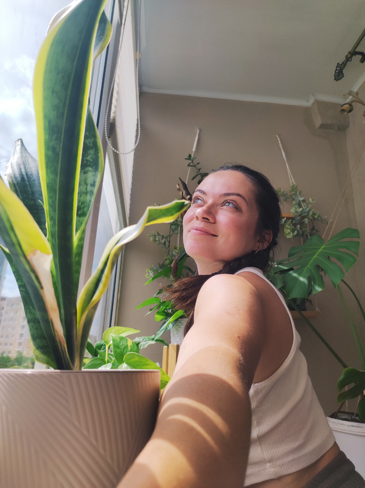 A young woman with dark hair and blue eyes is captured in a selfie on a balcony, with sunlight streaming in. She is wearing a white tank top and grey shorts. She is looking upwards and to her right with a slight smile, her face illuminated by the sunlight. A snake plant in a textured pot is positioned to her left, partially obscuring her. In the background, several other houseplants are visible, including a Monstera plant. The balcony appears to be in a city, with a building visible through the window. The overall scene suggests a peaceful moment indoors, with plants and natural light creating a serene atmosphere. The location is not specified in the image but is assumed to be Chaikovsky, Russia.