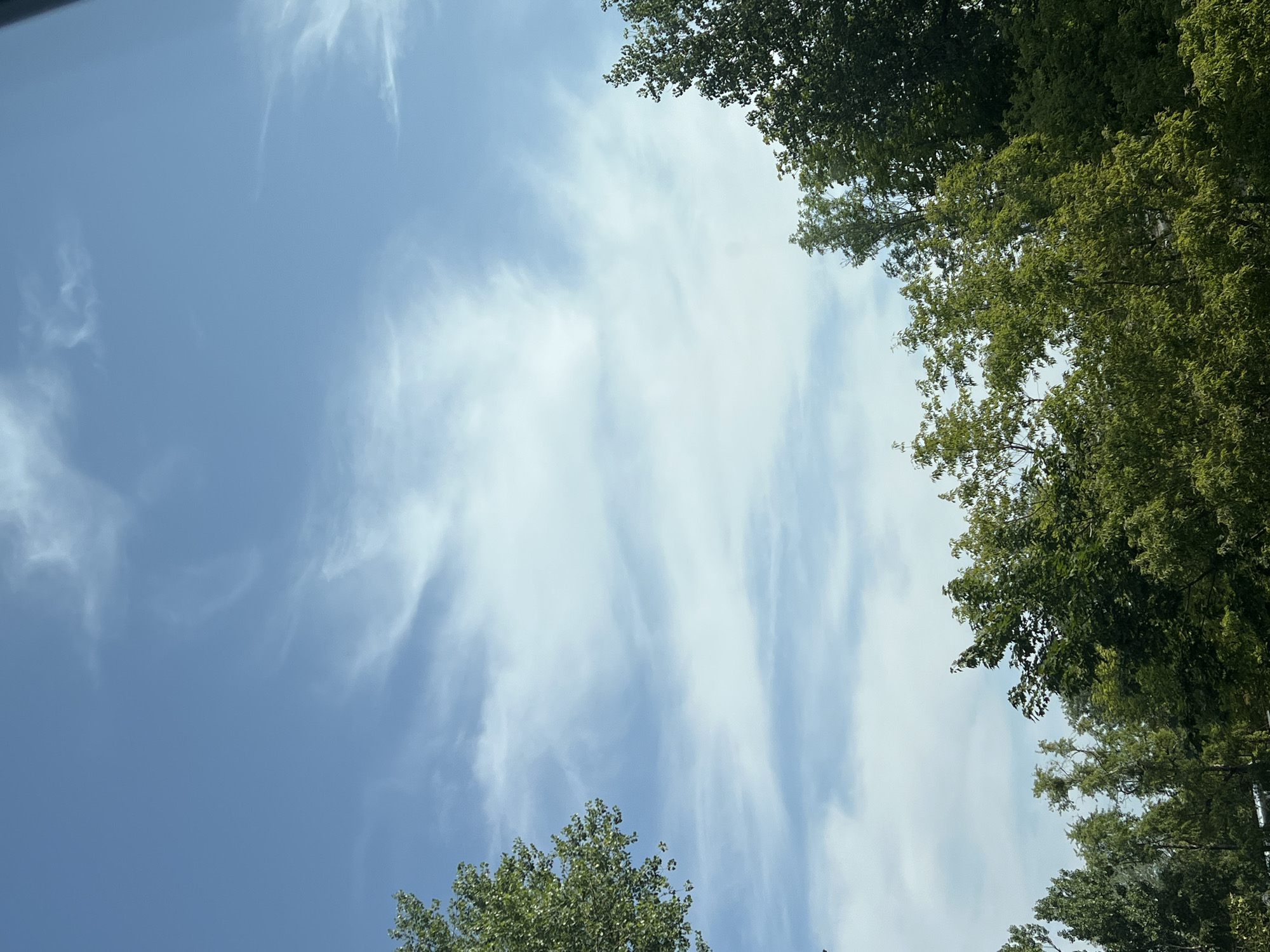 A low-angle, eye-level shot captures a segment of a bright blue sky, partially obscured by the lush green foliage of several trees. Wispy white clouds drift across the sky, adding a dynamic element to the scene. The trees are dense and vibrant, with their leaves catching the sunlight. The image appears to have been taken outdoors, likely in a park or a residential area with mature trees. There is no visible evidence of the city of Warsaw, Poland.