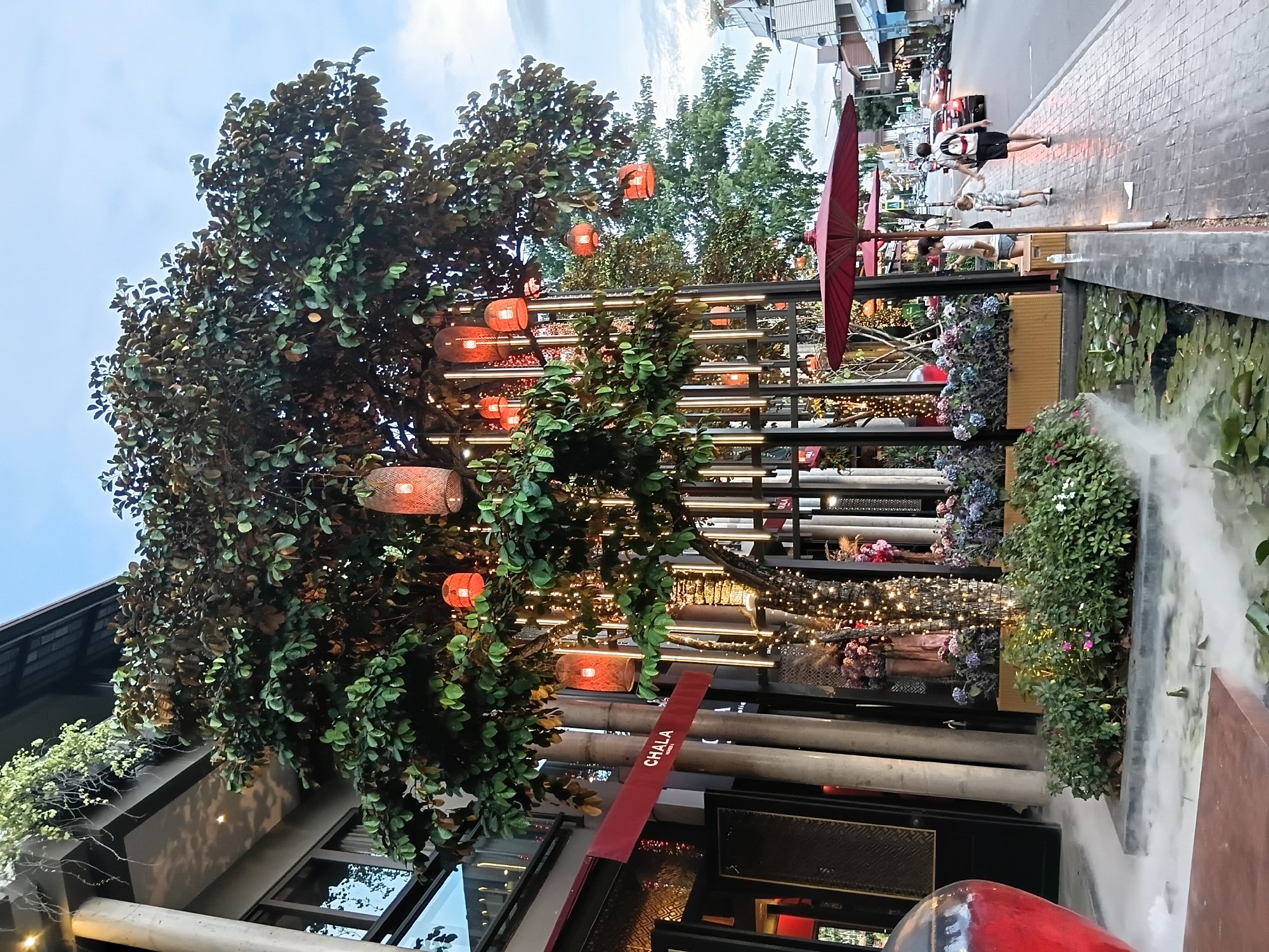 In Chiang Mai City Municipality, Thailand, a street scene is captured at dusk. A building with a dark facade and glass windows features a red awning with the word "CHALA" visible. Adjacent to the building, a large tree is decorated with numerous small, illuminated lights and several red lanterns. The tree's branches extend towards the street, where a sidewalk made of patterned pavers is present.
On the sidewalk, two adults and two children are walking. One adult, a male wearing a black shirt and shorts with a backpack, holds the hand of a child dressed in light-colored shorts and a t-shirt. Another adult, a female wearing a white top and shorts, walks ahead of them. Red umbrellas are open along the sidewalk, providing shade.
In the foreground, a water feature with lily pads and mist emanating from it is visible. The area is lined with planters filled with colorful flowers. To the left, a large, reddish vase-like object is partially visible, also emitting mist. The street beyond the sidewalk shows car traffic and motorcycles. The sky is a light blue with scattered clouds. The overall ambiance suggests a pedestrian-friendly area with decorative lighting, possibly a commercial district or a public square.