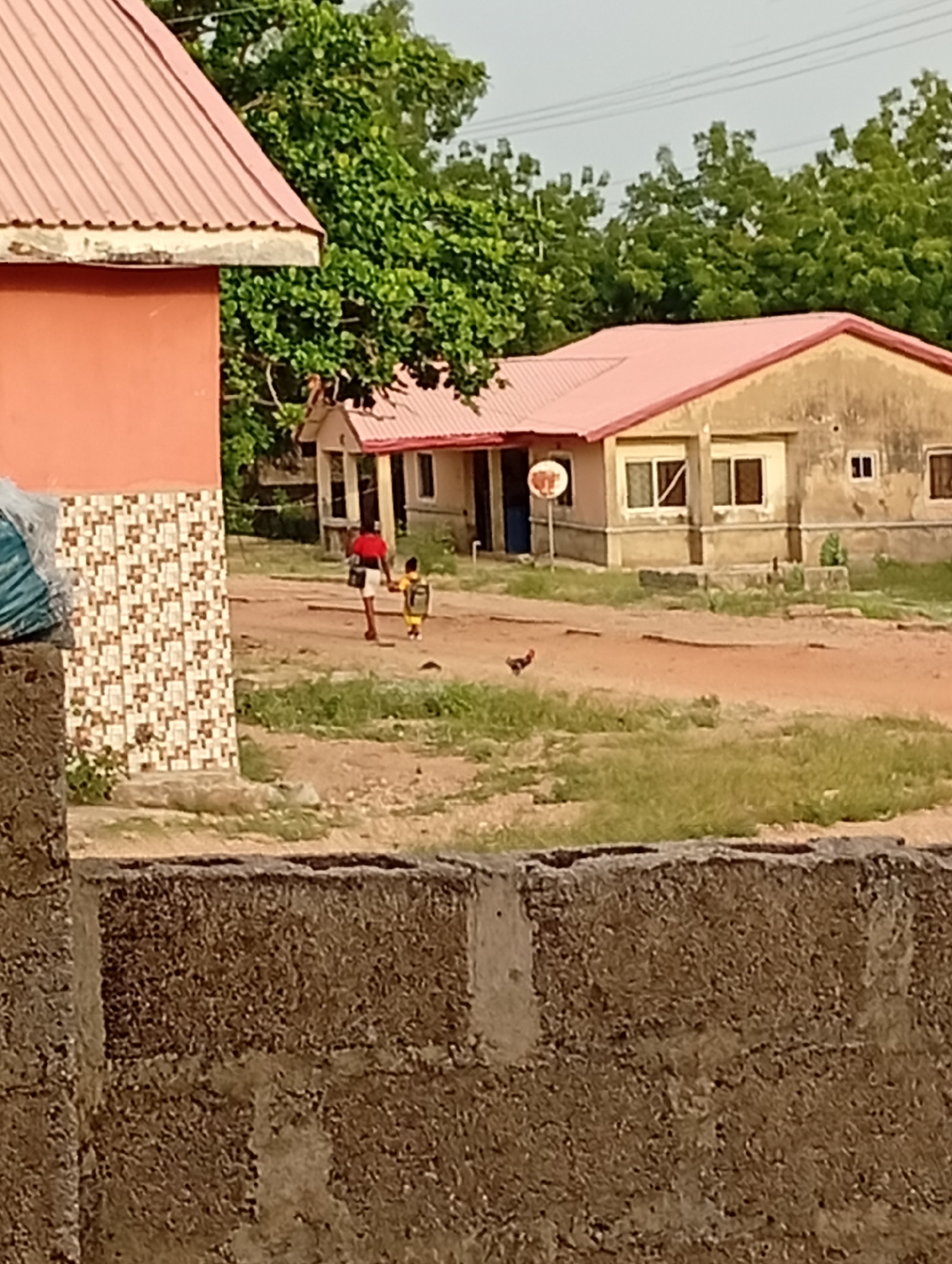 A daytime scene in Adankolo, Nigeria, displays a rural or semi-urban environment. The foreground is dominated by a rough, dark brown concrete block wall. To the left, a portion of an orange-painted building with a distinctive patterned tiled base and a red corrugated roof is visible.
In the mid-ground, two figures walk along a dirt path with patches of dry grass. An adult, wearing a red top and white shorts and carrying a bag, walks alongside a child dressed in a yellow top and backpack, both moving away from the camera. They are headed towards a single-story, light brown building with a red corrugated roof and several windows. A white circular object on a pole stands near the entrance of this building. Another smaller structure with a red roof is partially visible behind the main building. A small, dark-colored bird is on the ground near the path.
The background features a dense canopy of green trees under a clear, bright sky. The soft lighting suggests it is either morning or late afternoon. No discernible text is visible on any signs or objects within the image.