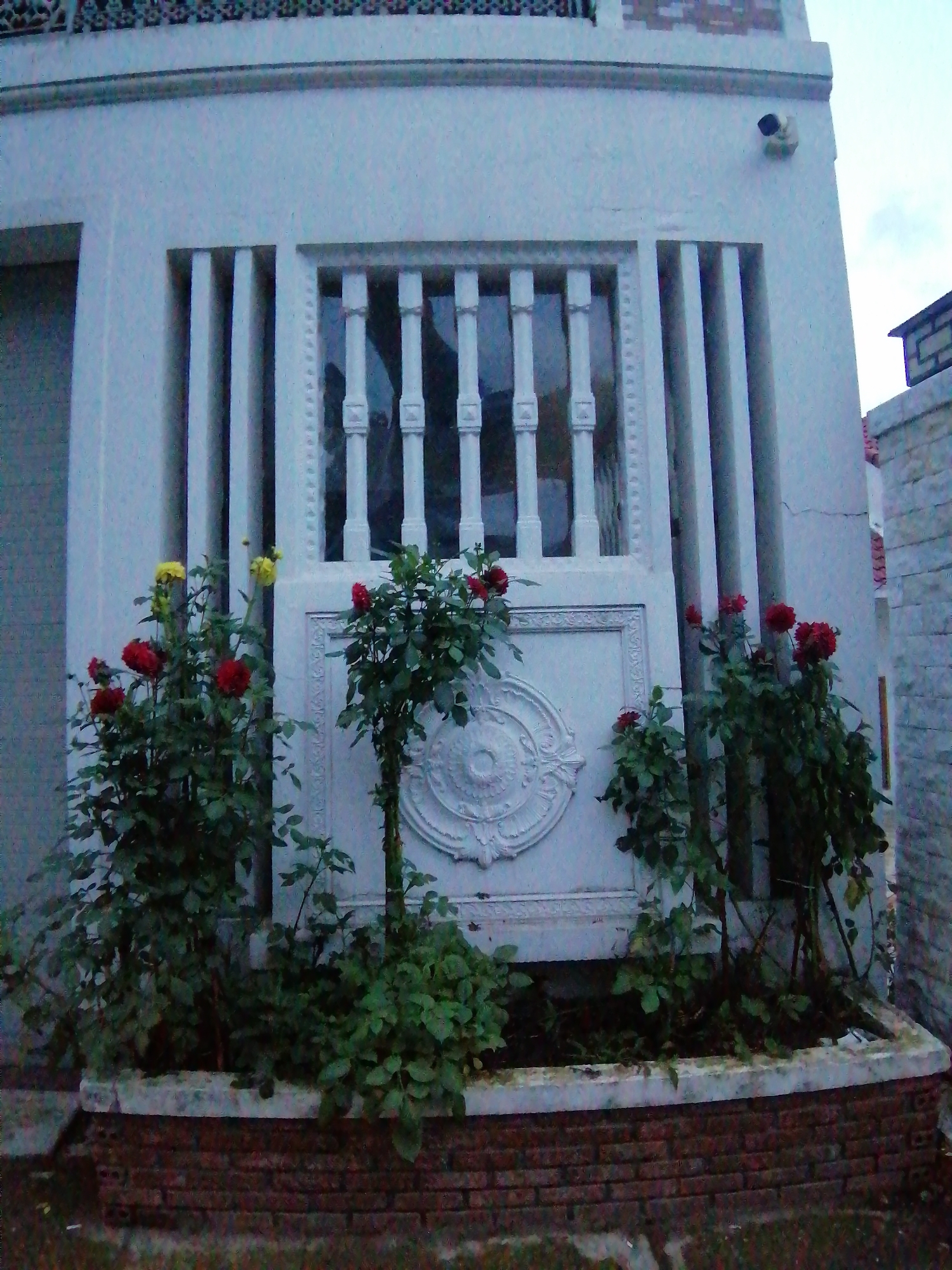 The image shows a close-up, low-angle view of the facade of a white building, possibly a residential property, with red brickwork at the base. The building features decorative elements, including vertical grilles and a circular relief above a planter box. In front of the planter, several rose bushes are visible, with red and yellow flowers. The scene is likely a garden area adjacent to the building. The overall impression is of a slightly overcast day. There are no people or animals visible in the frame. The location is identified as Cam Ly - Đà Lạt, Vietnam.