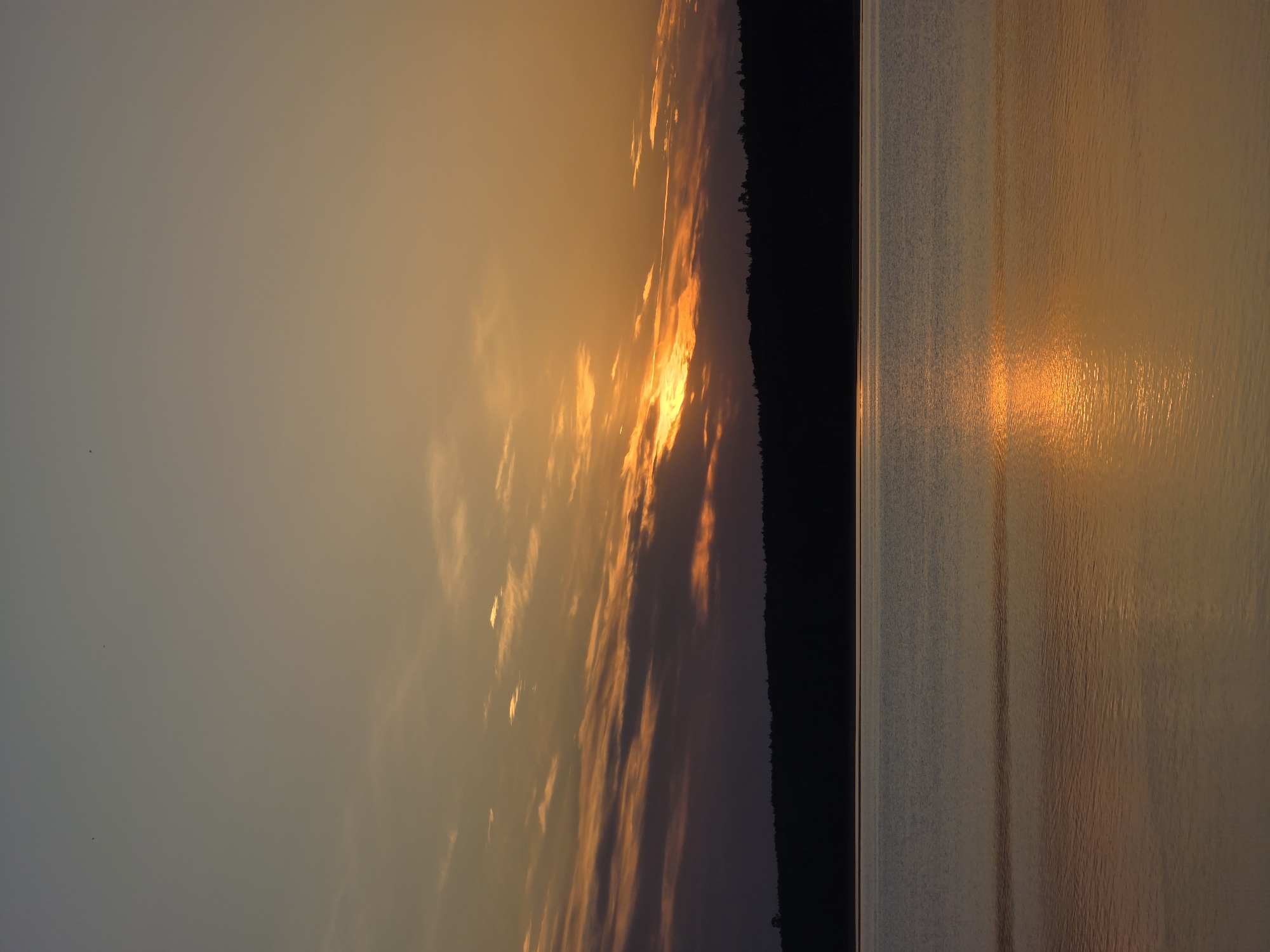 The image depicts a sunset scene, likely over a body of water. On the right side of the frame, the water reflects the golden light of the setting sun, creating a shimmering effect. The sky, transitioning from a pale gray on the left to a vibrant orange on the right, features elongated clouds catching the sunlight. A dark, silhouetted treeline separates the sky and the water, adding contrast to the composition. The location is suspected to be near Chaikovsky, Russia based on surrounding metadata.