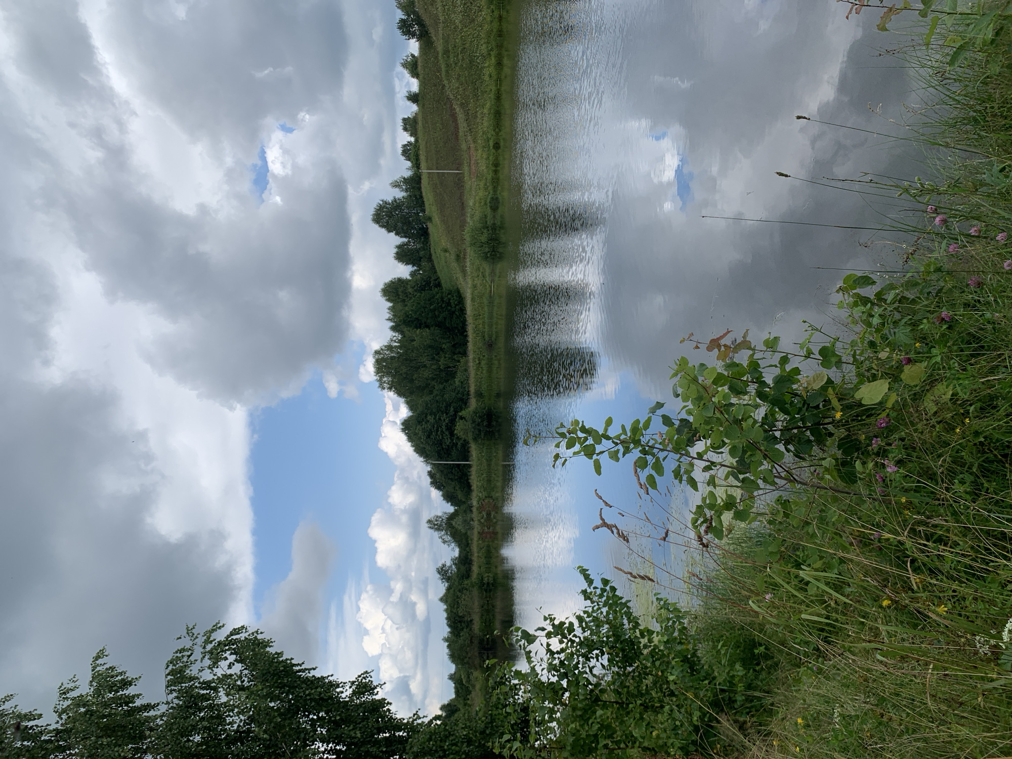 The image depicts a tranquil natural landscape, likely a pond or lake, with lush green vegetation on its banks. The water's surface is calm, reflecting the sky and the surrounding trees. The sky is partially cloudy, with patches of blue visible between the white and gray clouds. The scene is set in the city of Zasechnyi, Russia, as indicated by the context provided. There are no people or animals visible in the frame. The environment appears to be rural or semi-rural, characterized by its natural beauty and peaceful atmosphere.
