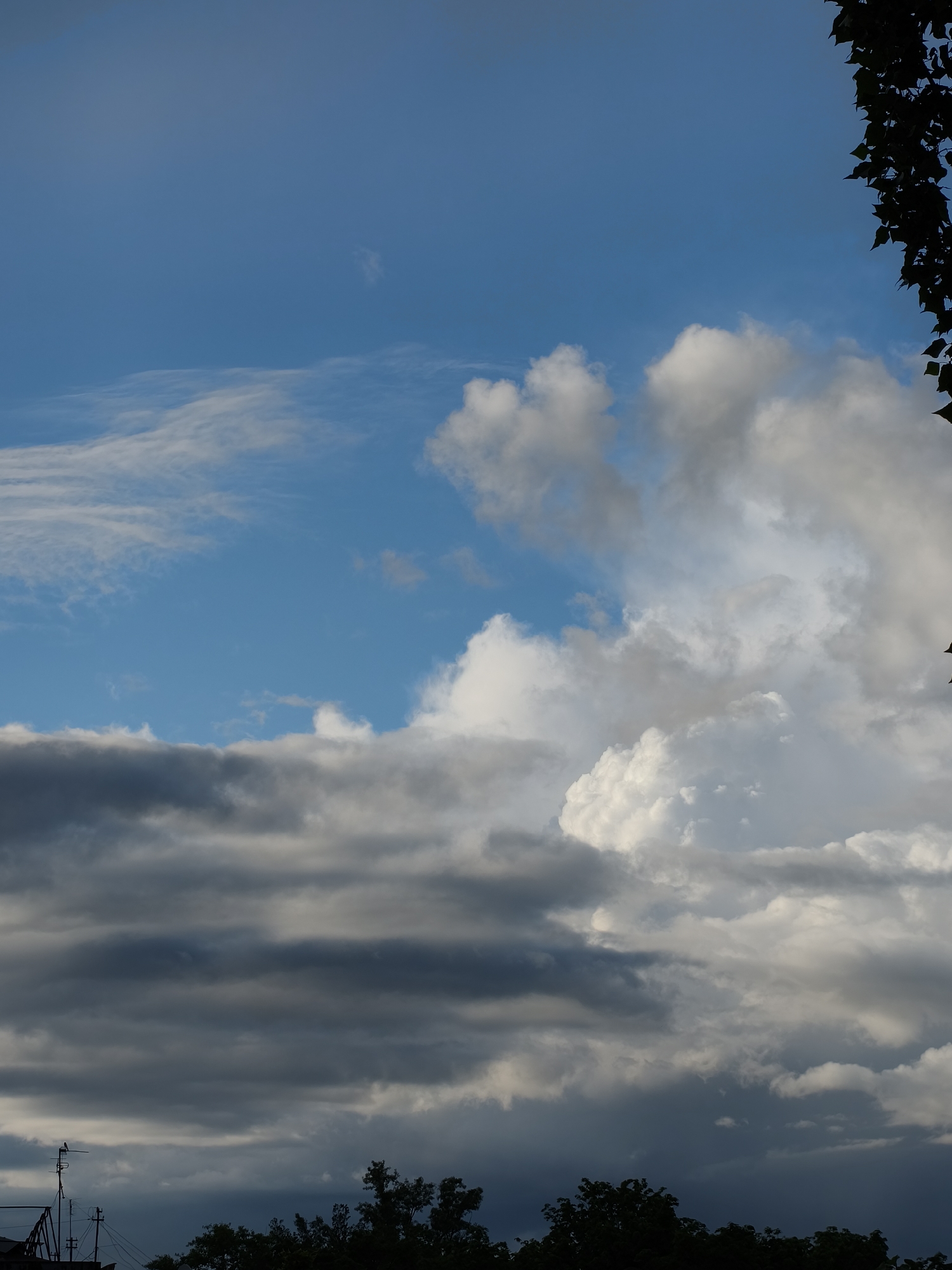 The image shows a sky with a variety of clouds in Kryvyi Rih, Ukraine. The upper part of the sky is clear blue with faint cirrus clouds. Below that, a cluster of puffy, white cumulus clouds are visible. The lower part of the sky features dark gray, layered stratus clouds. In the lower portion of the image, the silhouettes of trees and rooftops, and television aerials are seen. A tree branch with leaves is silhouetted on the right side of the image.