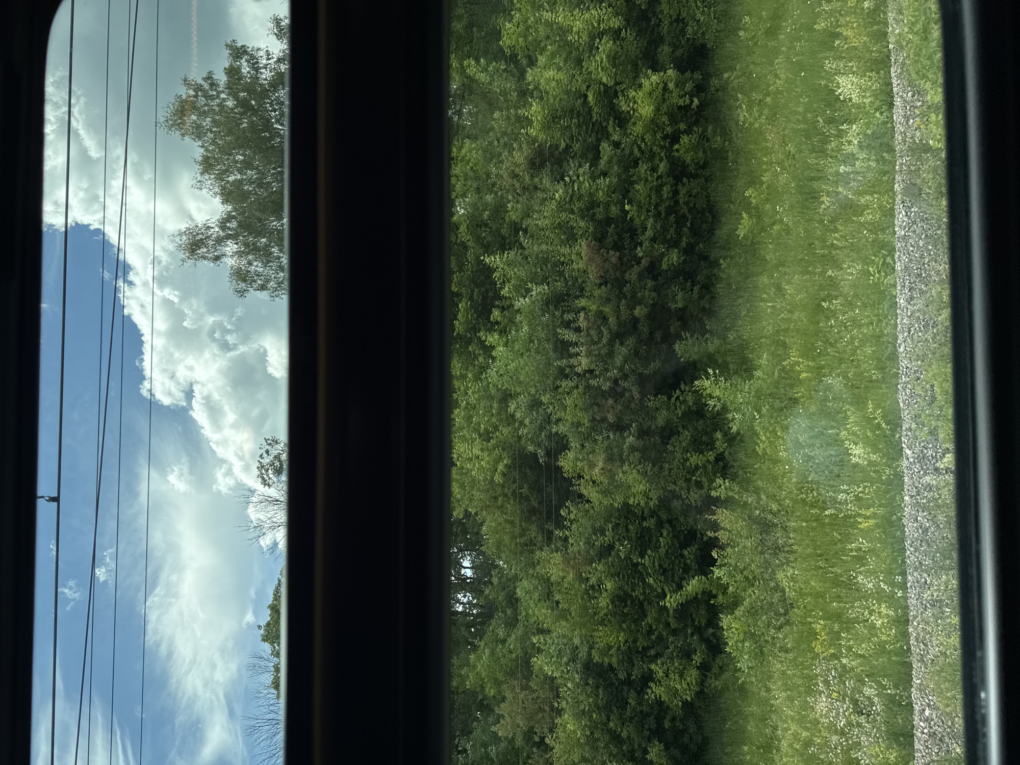 The image shows a view through a window, likely of a moving vehicle. The scene is divided vertically by dark window frames. On the left, a bright blue sky is filled with fluffy white clouds. Several dark, thin wires run diagonally across the sky, suggesting the presence of utility lines. The tops of trees are visible in the sky portion, with some bare branches.
The right side of the image shows a dense canopy of green trees. Further to the right, there is a strip of green grass and vegetation, with some lighter-colored wildflowers interspersed. Beyond the grass is a rough textured surface that appears to be gravel or ballast, possibly alongside a railway track.
The lighting suggests it is daytime, with bright sunlight illuminating the sky and casting a slight glare on the landscape. The weather appears to be clear and sunny, with the presence of large clouds. The overall impression is a serene natural landscape viewed from a moving perspective. There is no visible text in the image. The location is identified as Voskresensk, Russia.