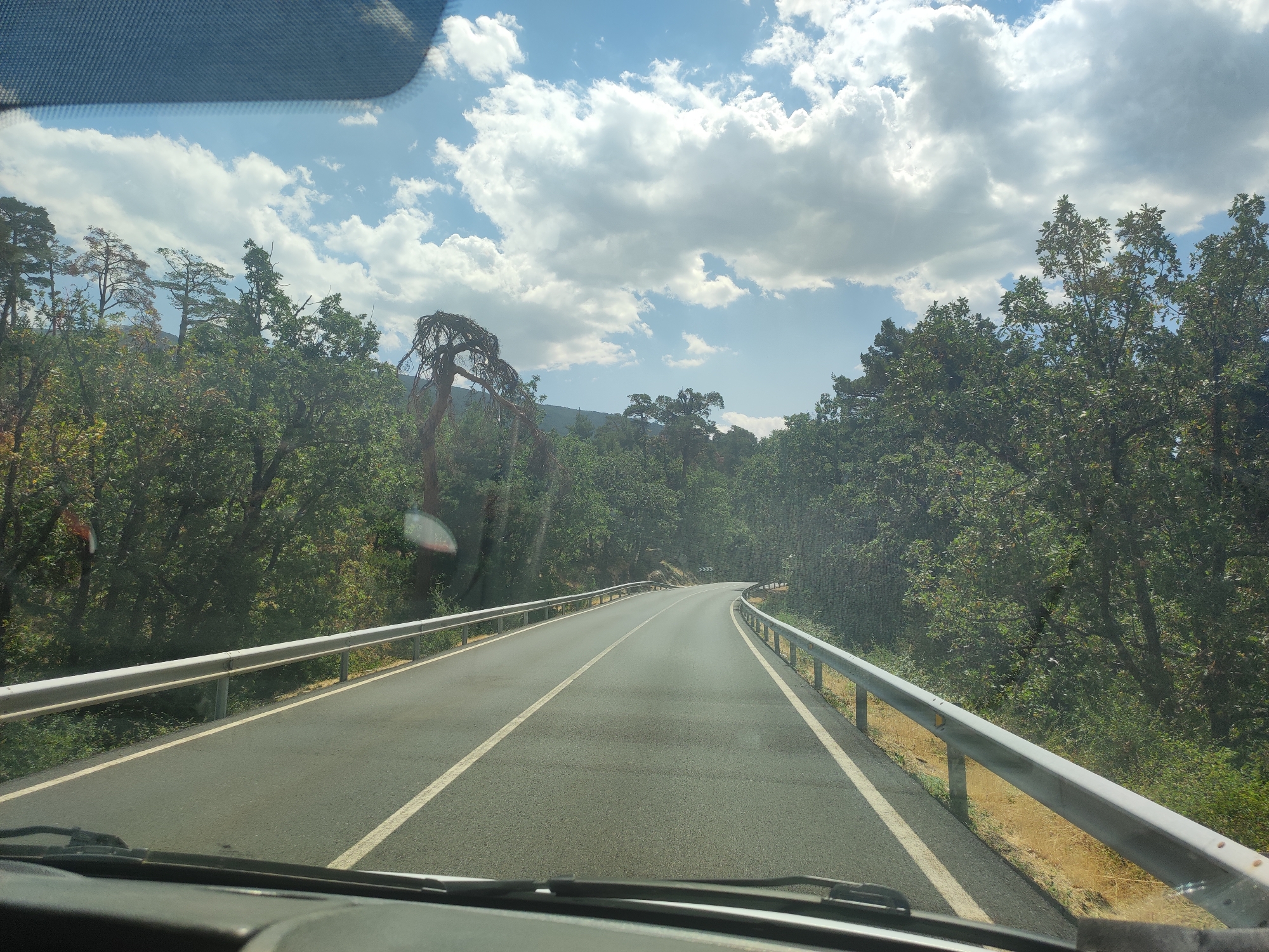 The image shows a two-lane asphalt road winding through a forest. The road has a white dashed line dividing the lanes and a solid white line on the outer edges. Metal guardrails line both sides of the road. The forest consists of dense green trees, with some appearing taller and sparser in the background. The sky is blue with scattered white clouds. In the distance, on the left side of the road, there are a few distinct, gnarled, dead trees standing out against the green foliage. The perspective is from inside a vehicle, looking forward through the windshield. The dashboard and wiper blades are visible at the bottom of the frame. The scene appears to be in a rural or mountainous area.