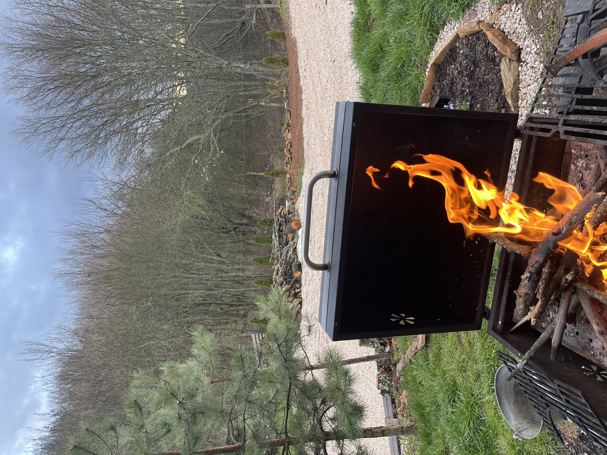 The scene depicts a fire burning in an outdoor grill. The grill is black, with a silver handle on its lid. The flames are bright orange and yellow, consuming pieces of wood. The grill is positioned on green grass. In the background, there is a gravel path leading into a wooded area with bare trees. The sky is overcast. A pine tree is visible in the foreground. Location information is irrelevant.