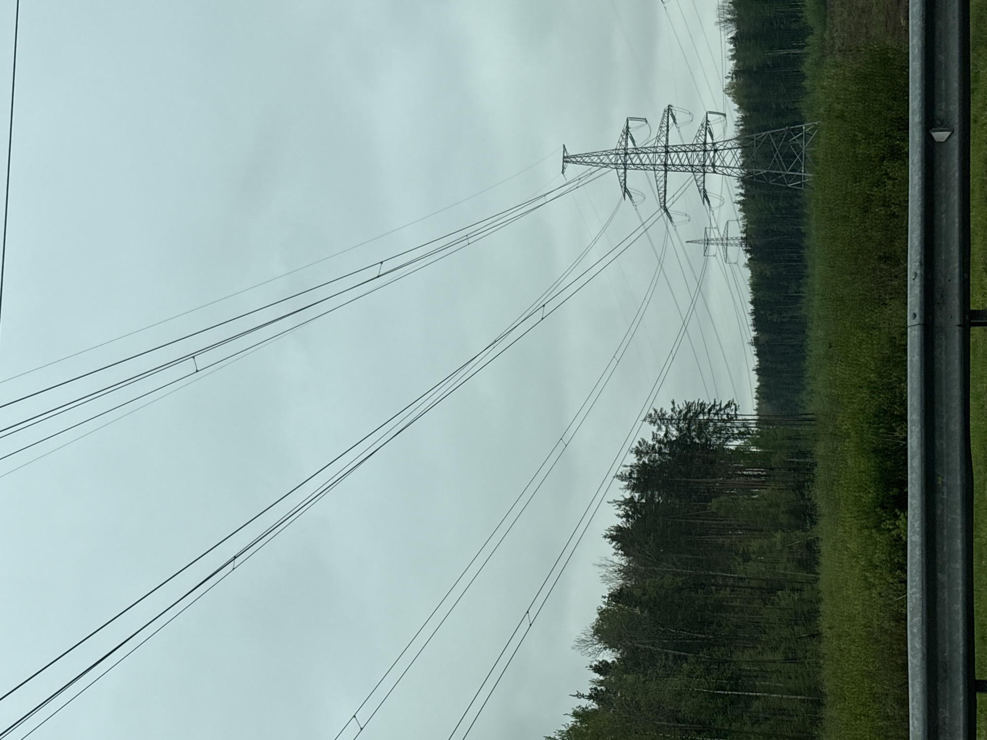 The image shows a view of power lines and pylons running alongside a road bordered by a forest. A metal guardrail is visible on the right side of the frame. The sky is overcast. The location is Novosergievka, Russia.