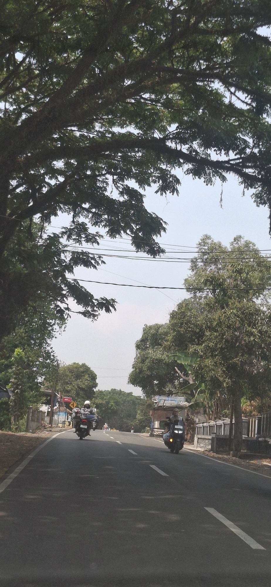 The image depicts a road scene in Susukan, Indonesia, characterized by a paved asphalt road with white lane markings. Lush green trees, with their branches creating a canopy overhead, line both sides of the road. Power lines are visible strung between utility poles. Several motorcycles are present on the road, with riders wearing helmets. One motorcycle is in the foreground on the right, and another is further down the road on the left. In the background, there are buildings and more vegetation. The sky is clear and bright.
