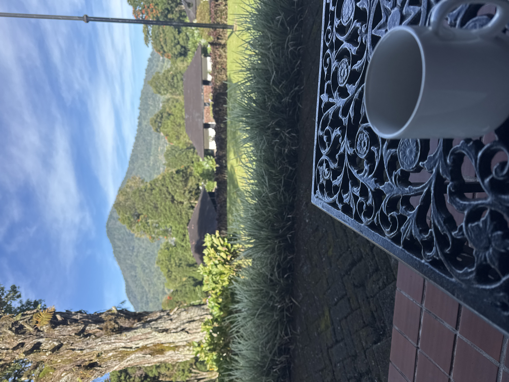 The image shows an outdoor scene, likely a garden or patio, with a view of a distant mountain range under a blue sky. A white ceramic mug sits on a decorative metal table in the foreground. The table is positioned on a brick patio. Beyond the patio, there is green grass and low-lying vegetation. In the distance, there appears to be a small structure or gazebo partially obscured by trees. The base of a large tree is visible in the lower left corner of the frame.