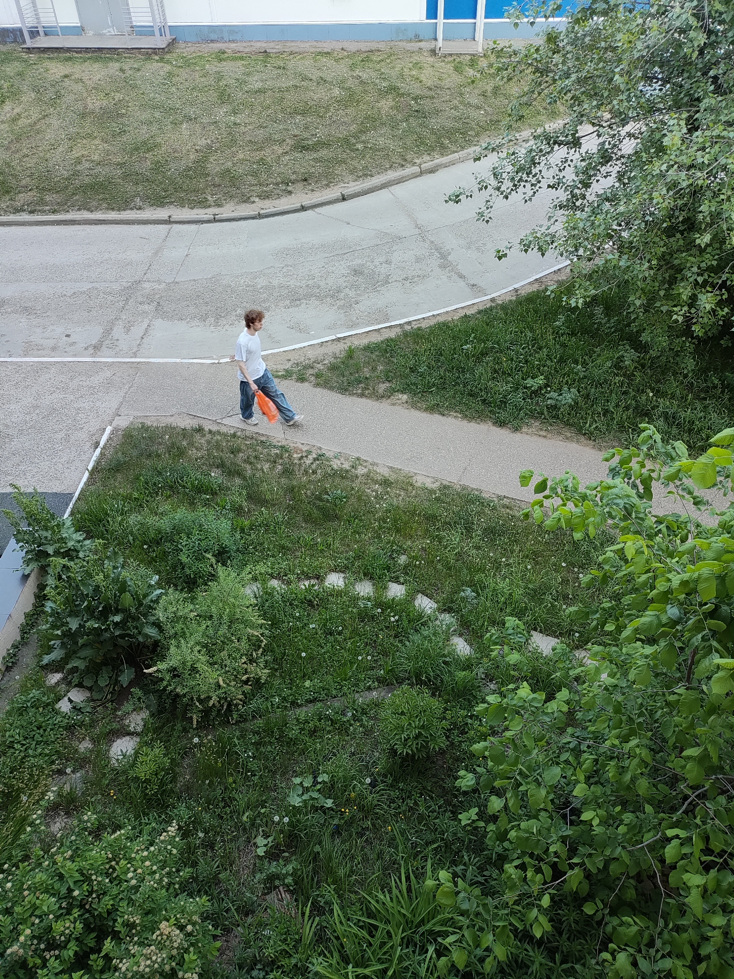 A person is walking along a concrete path in what appears to be an urban park or green space. The person, wearing a white shirt and blue jeans, is carrying an orange bag. The path is surrounded by grass and various plants. In the background, there's a building with a light-colored facade. Based on the style of architecture and the general landscape, it is difficult to ascertain the location.