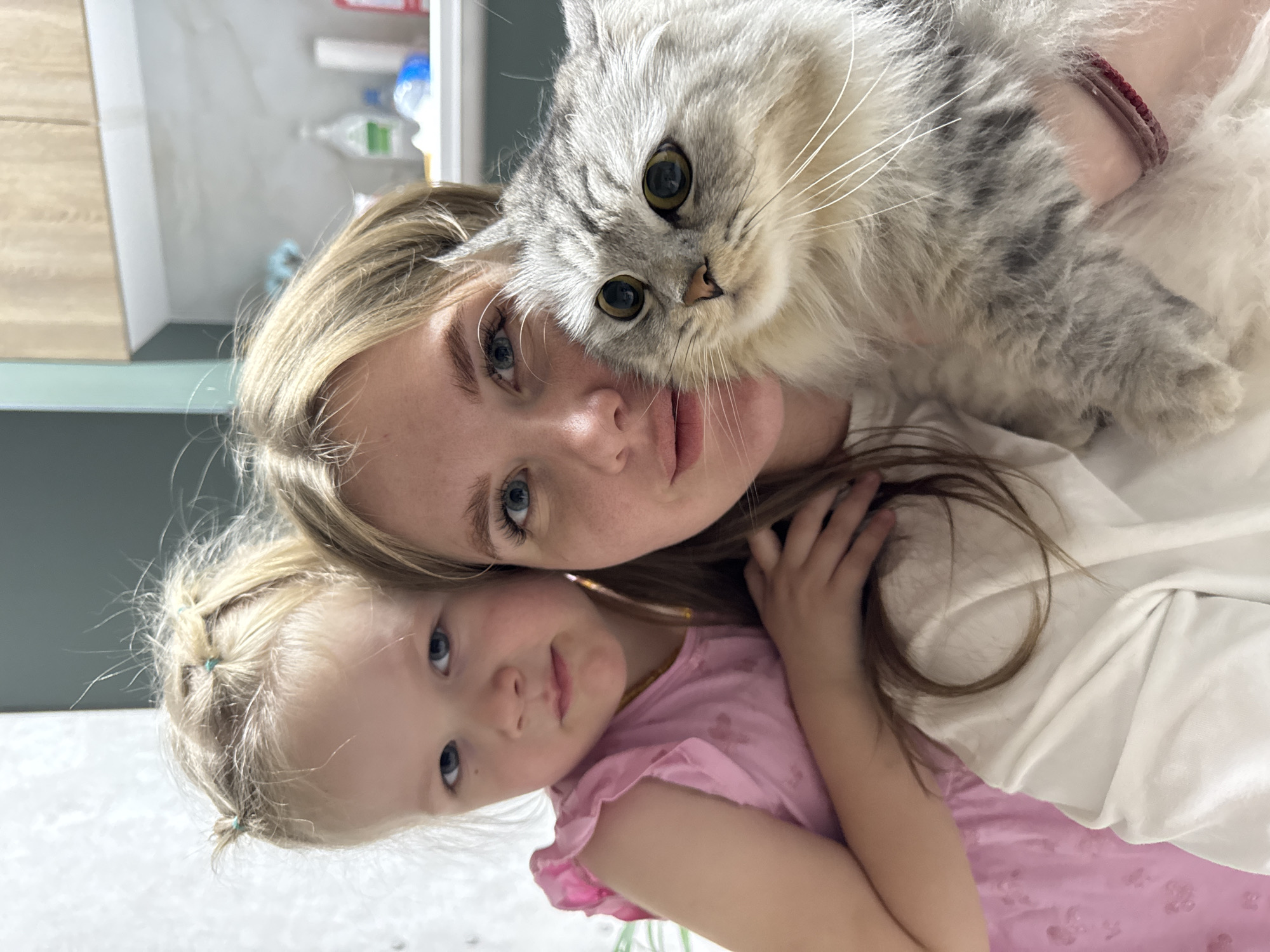An indoor, close-up image from Gornyi (Dvurechenskoe S/P), Russia, depicts three subjects: an adult female, a young female child, and a domestic cat. The adult female, with light brown hair and light eyes, wears a white top and is positioned centrally, holding a long-haired grey and white patterned cat with large, dark eyes. The young child, with blonde hair styled into pigtails secured with teal ties and light eyes, wears a pink ruffled top and stands behind the adult, with her right arm resting on the adult's shoulder. All three subjects face the camera. The background consists of light-toned walls on the left and center, transitioning to light wood-toned overhead cabinets above a white shelf or counter on the right, where several bottles are visible.