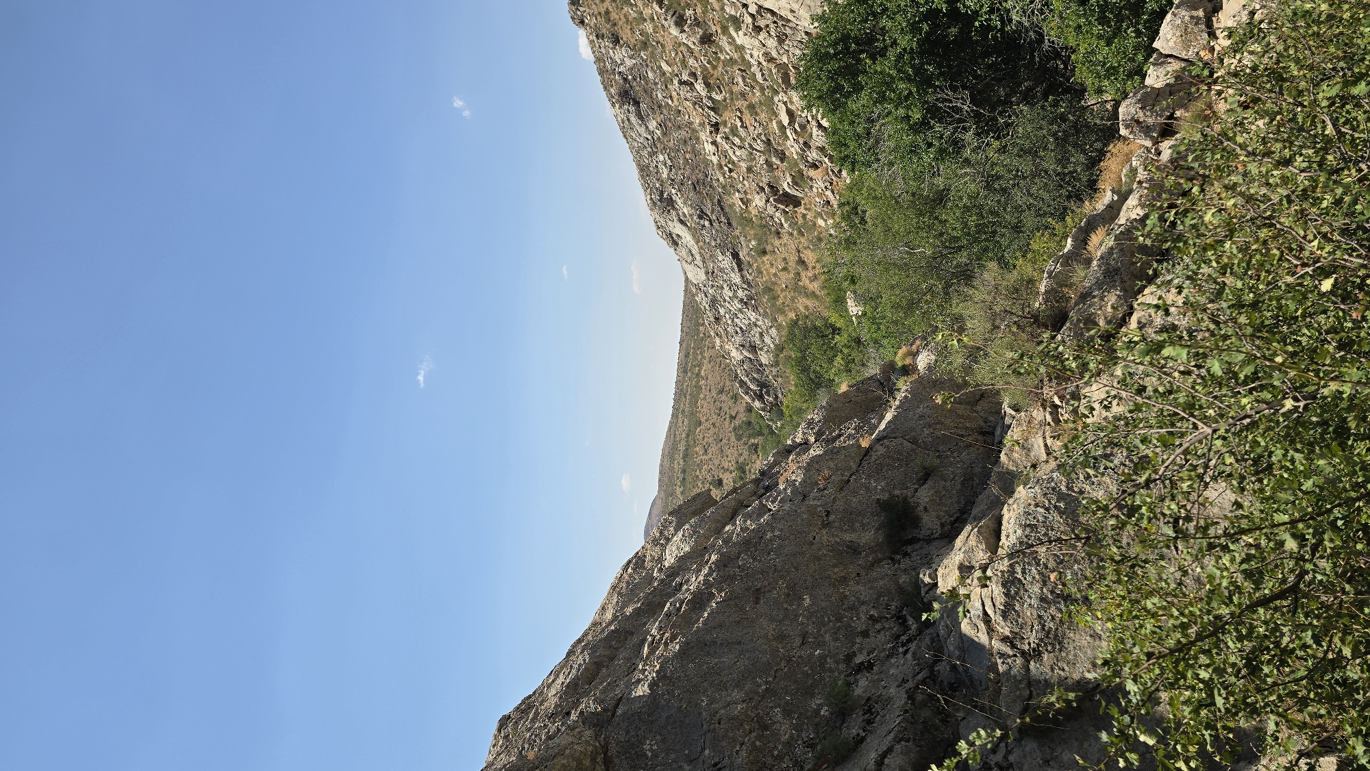 A vertical, eye-level, full shot captures a sun-drenched, rocky canyon landscape under a clear, pale blue sky with scattered wispy clouds. The foreground features a dense thicket of green leafy bushes with thin branches, casting shadows on the rough, textured rocks. On the left, a large, rugged rock face dominates the frame, its surface deeply fissured and textured. To the right, a similar rocky slope rises, sparsely covered with dry grasses and smaller rocks.
The canyon opens up into a wider valley in the middle ground. Here, a cluster of lush green trees stands out against the arid, scrub-covered hills that recede into the background. The hills are a mosaic of dry grasses and scattered rocks, their slopes gently undulating towards the horizon. The overall impression is one of a dry, sun-baked environment with pockets of vibrant greenery where water is likely present. The scene appears to be a natural landscape, possibly a trail or a viewpoint within the region of Terekty, Kazakhstan, given the arid, rocky terrain and sparse vegetation characteristic of such areas. There are no people or animals visible in the frame.