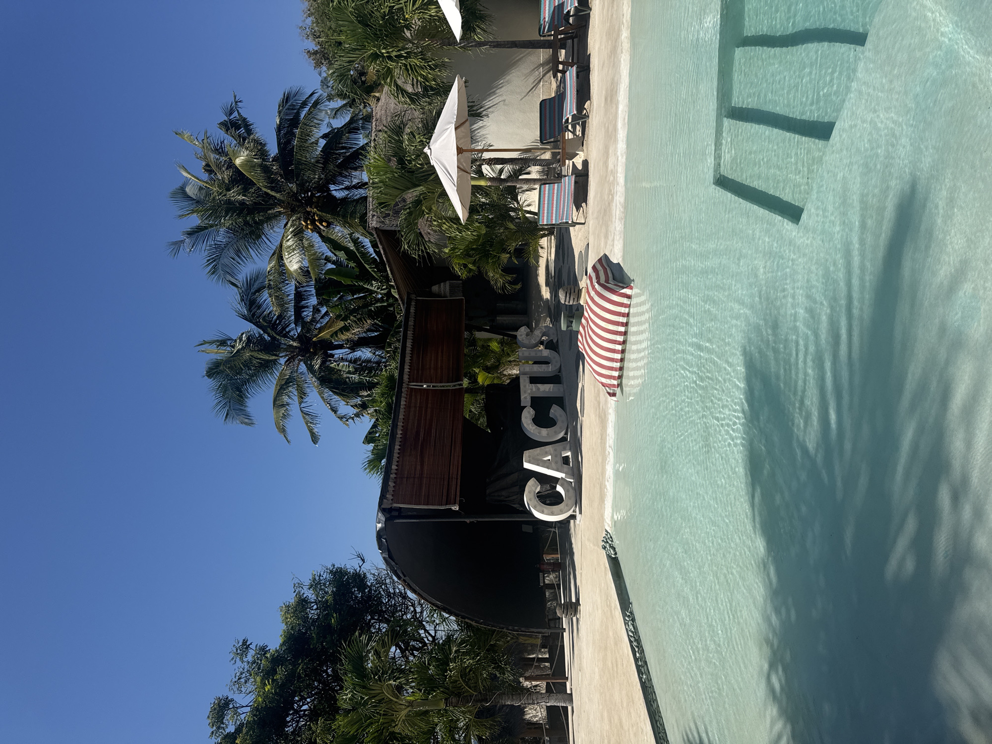 The image captures an outdoor leisure area under a clear blue sky on a bright, sunny day, in what is identified as Nusa Penida, Indonesia. A rectangular swimming pool with light blue water occupies the foreground and midground, featuring submerged steps on the right side. The water's surface shows ripples and reflections, including the shadows of overhead foliage. Adjacent to the pool on the left, large white, three-dimensional letters spell "CACTUS." To the right of these letters, a red and white striped cushion or beanbag floats partially in the pool.
Behind the "CACTUS" sign, a structure with a dark, curved roof and wooden accents is visible, likely serving as an entrance or shaded area. Surrounding the pool and structures is a paved light-colored surface. On the right side of the pool, several lounge chairs with blue, white, and red striped fabric are arranged, accompanied by white sun umbrellas providing shade. The entire scene is enveloped by abundant tropical vegetation, including numerous tall palm trees with visible coconuts, and various other green trees and bushes under the bright sunlight. No individuals are present in the scene.