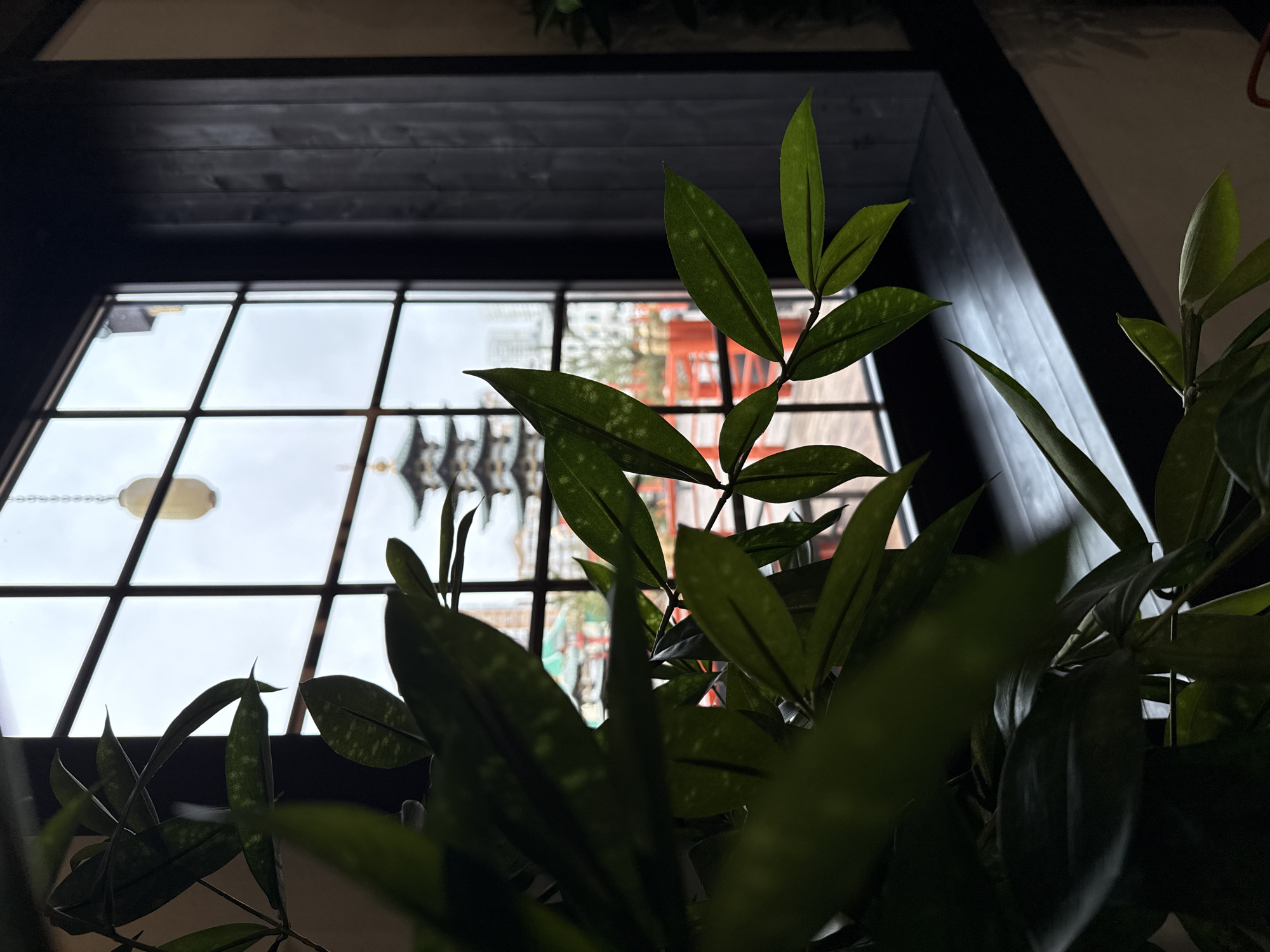 The image captures an indoor scene looking out through a window, with a prominent potted plant in the foreground and midground. The plant features numerous dark green leaves, many with subtle lighter green spots or patterns, creating a textured appearance. Some leaves in the immediate foreground are blurred, indicating a shallow depth of field.
The window is divided into multiple panes by a dark grid frame. Beyond the window, a bright, overcast sky dominates the upper background. Architectural structures are visible outside, most notably a multi-tiered building with distinctive red and black elements, characteristic of traditional Asian architecture, possibly a temple or shrine. Another building with a light blue or green roof is partially visible further in the background. A light fixture, possibly a pendant lamp, hangs from an unseen ceiling and is visible through one of the window panes on the left.
The interior space above the window shows a dark, paneled wooden ceiling or beam structure. The scene is brightly backlit by the exterior light, casting much of the indoor elements and the plant into silhouette or deep shadow. The overall impression is calm and atmospheric. There are no people visible, no activity taking place, and no discernible text in the image.