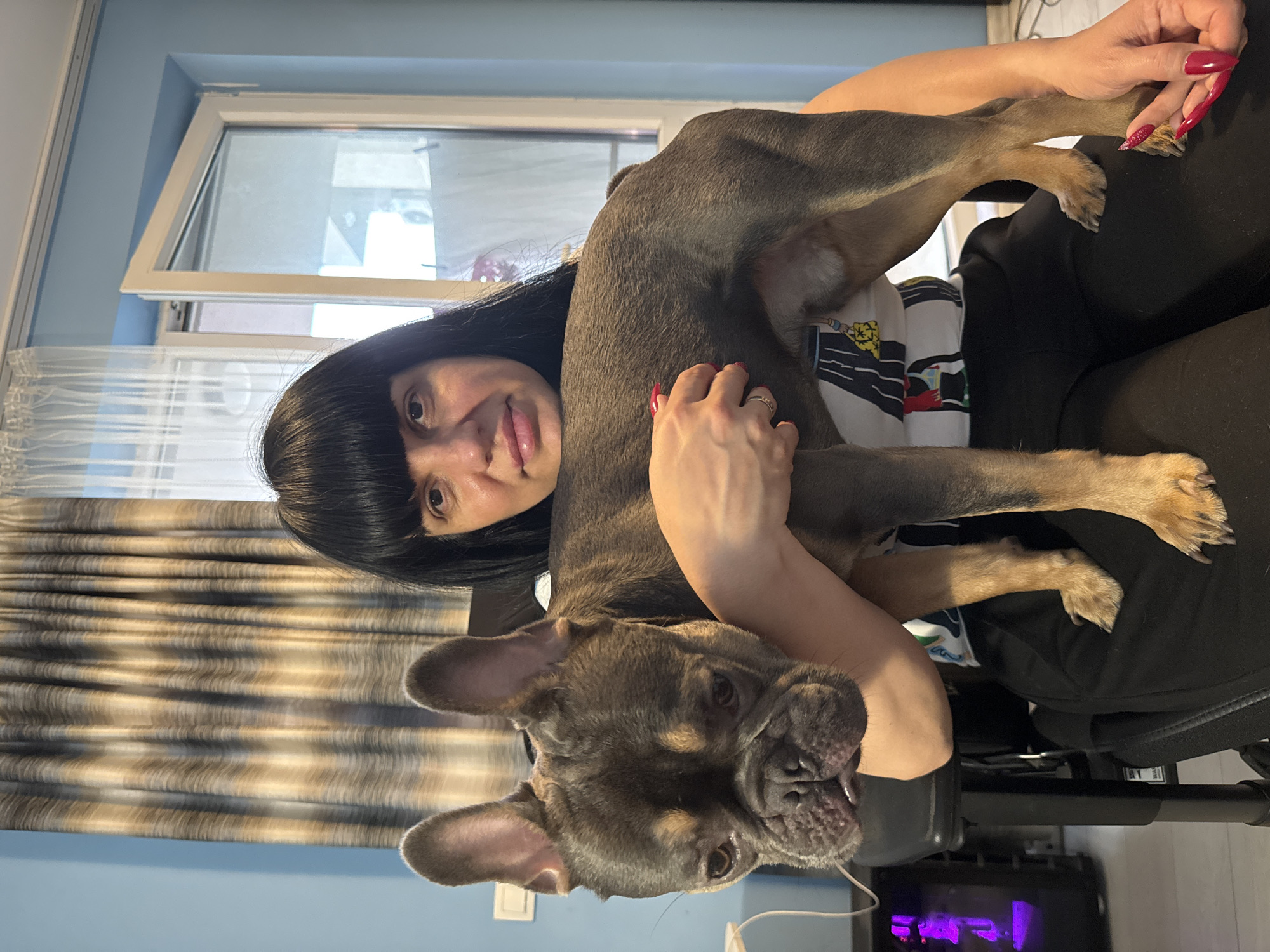 The image, set in an indoor environment in Burgas, Bulgaria, captures a heartwarming moment between a woman and her dog. A woman with long, straight dark hair and bangs smiles playfully towards the camera, her tongue slightly out. She wears a light-colored top with a pattern and has prominent long, bright red fingernails. She is cradling a French Bulldog, which has a gray/brindle coat with tan markings, and is also looking towards the camera with its mouth slightly open.
The background reveals a domestic setting with a light blue wall. To the right of the subjects, a white-framed window is slightly ajar at the top, covered by light, sheer curtains. To the left, heavier beige and brown striped curtains are drawn. The woman appears to be seated in a black chair, likely an office chair. In the lower background, a computer tower with purple internal lighting is faintly visible, along with a white cable. The scene conveys a cheerful and affectionate bond between the woman and her pet during what appears to be daytime. No text is visible in the image.