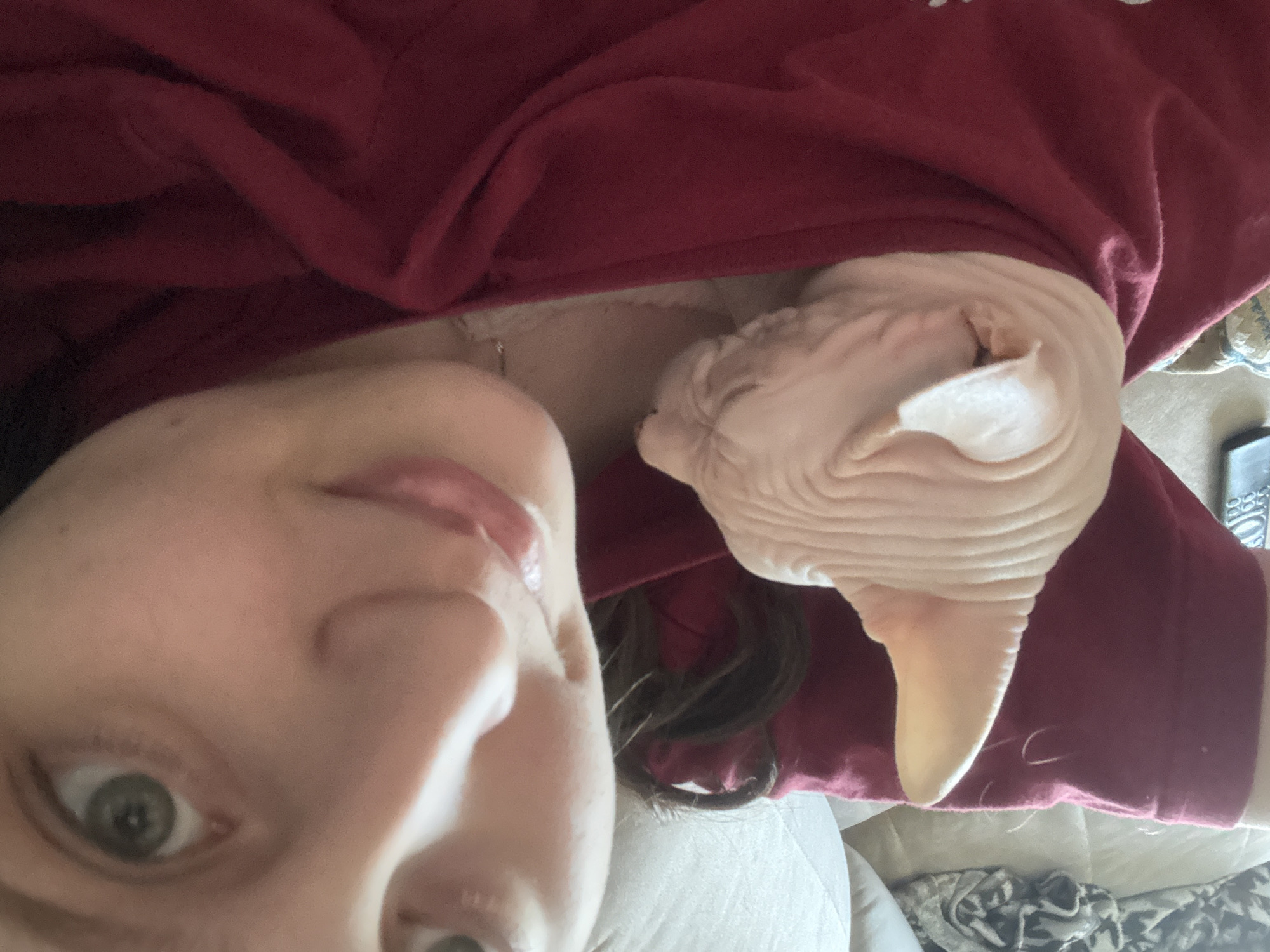 The media file shows a close-up, over-the-shoulder selfie taken from a low angle. The main subjects are a person's face and a Sphynx cat. The person, whose face is partially visible and looking upwards towards the camera, has green eyes and is wearing a red garment, possibly a hoodie or sweatshirt. Their lips are slightly parted, suggesting a relaxed or inquisitive expression.
Nestled against the person's chest, under the red garment, is a light-skinned Sphynx cat. The cat's head and neck are clearly visible, with its characteristic wrinkled skin. Its eyes are closed, indicating it is likely sleeping or resting comfortably. The cat appears to be tucked into the person's clothing for warmth or comfort.
The background is softly blurred, but hints of a soft, possibly upholstered surface like a bed or sofa can be seen. The lighting appears to be indoor, with a soft, diffused light, suggesting it could be daytime or evening. The overall mood conveyed is one of intimacy, comfort, and affection between the person and their pet. There is no visible text in the image. The location context is Krasnoyarsk, Russia.