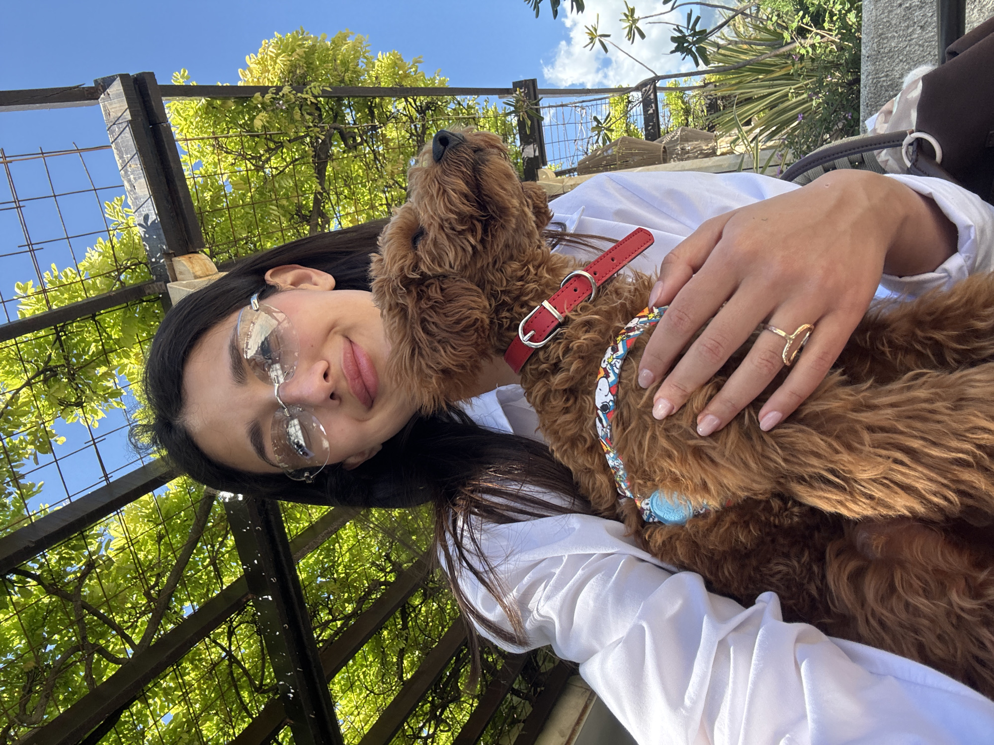 A woman with long, dark hair and wearing wire-rimmed glasses is holding a brown poodle in her arms. The dog has a red collar and a patterned bandana. She is wearing a white long-sleeved shirt and a gold ring on her right hand. They appear to be outdoors, possibly in a garden or patio area, with a wooden trellis and green foliage visible in the background. The scene may be located in Budva, Montenegro, but this cannot be confirmed. The lighting is bright, indicating it is daytime.