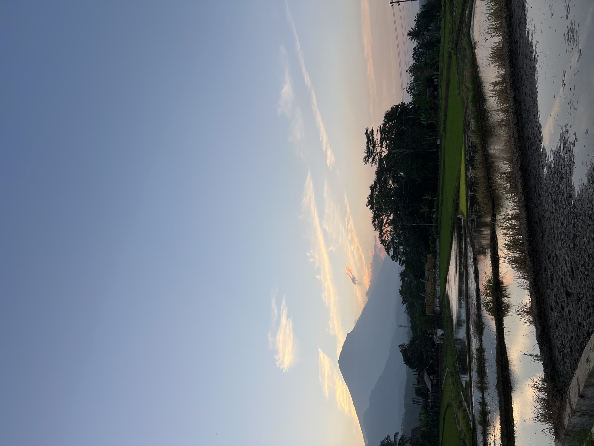 The image depicts a serene landscape at dusk in Kalijoso, Indonesia. A large, dark mountain looms in the background, silhouetted against a sky painted with soft hues of pink, orange, and blue from the setting sun. Wispy clouds drift across the sky, catching the last rays of light. In the middle ground, a cluster of dense trees creates a dark, verdant line separating the sky from the foreground. A few scattered structures, possibly houses or farm buildings, are partially visible amongst the trees. The foreground is dominated by flooded rice paddies, their surfaces reflecting the muted colors of the sky and the surrounding vegetation. The water in the paddies appears calm, with ripples suggesting a gentle breeze. Patches of dark, muddy soil are also visible, indicating recently worked fields. The overall impression is one of tranquility and natural beauty, characteristic of rural Indonesian landscapes during twilight. There are no people visible in the image.
