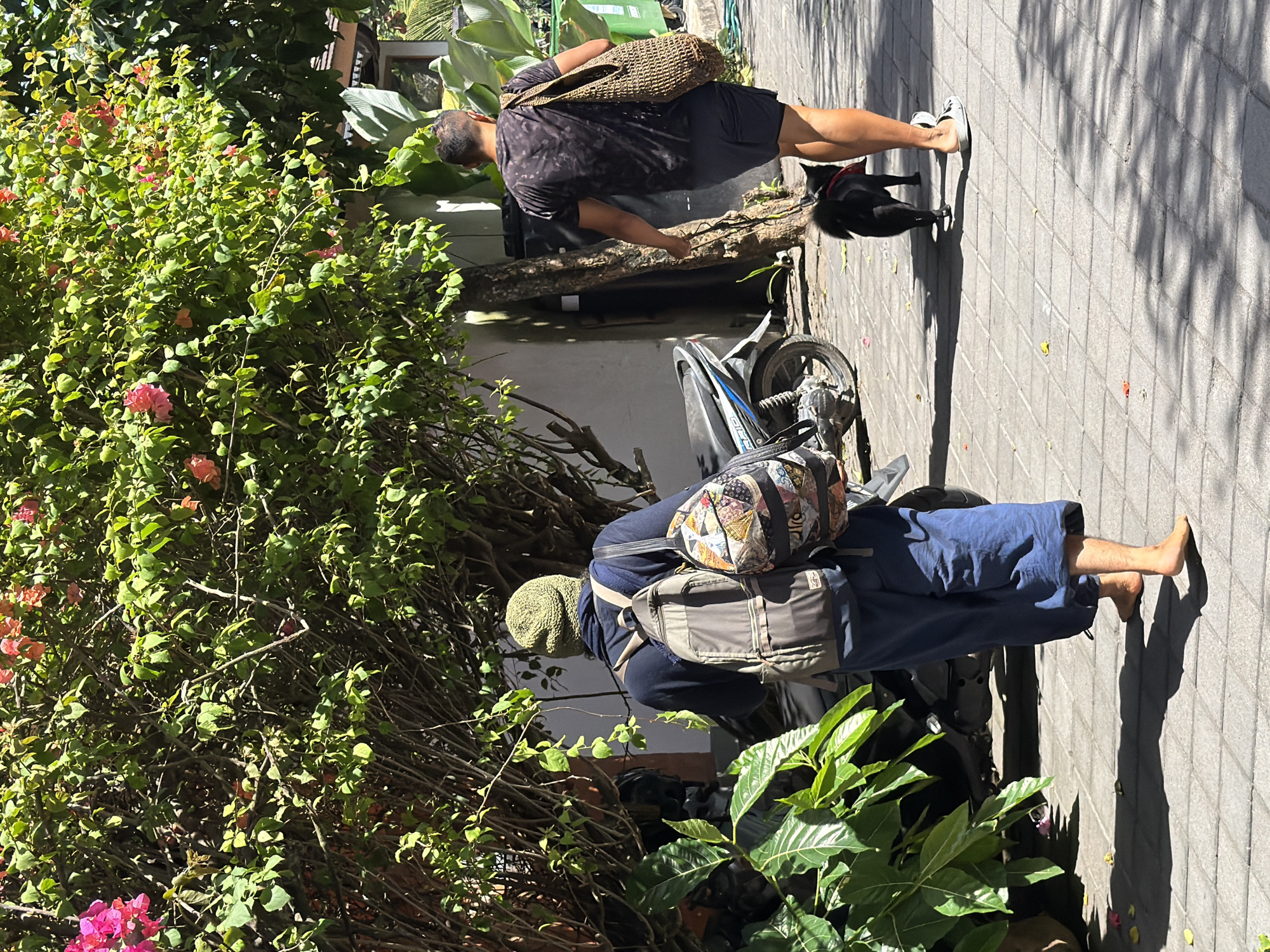 In a sun-drenched outdoor scene on a paved walkway in Mengwi, Indonesia, two individuals are walking. The first person, walking away from the viewer, is wearing a green knitted hat, a dark long-sleeved shirt, and loose blue pants. They are carrying two backpacks: a gray one on their back and a smaller, more colorful one with a patchwork design on their left shoulder. This person is barefoot. Behind them, a second person is walking their small black dog, which is on a red leash. This individual is wearing a dark patterned t-shirt, dark shorts, and light-colored flip-flops. They are carrying a large woven bag over their right shoulder. The walkway is lined with lush green foliage and flowering bushes. A motorcycle is parked on the left side of the frame, partially obscured by the vegetation. The overall environment suggests a warm, tropical setting.