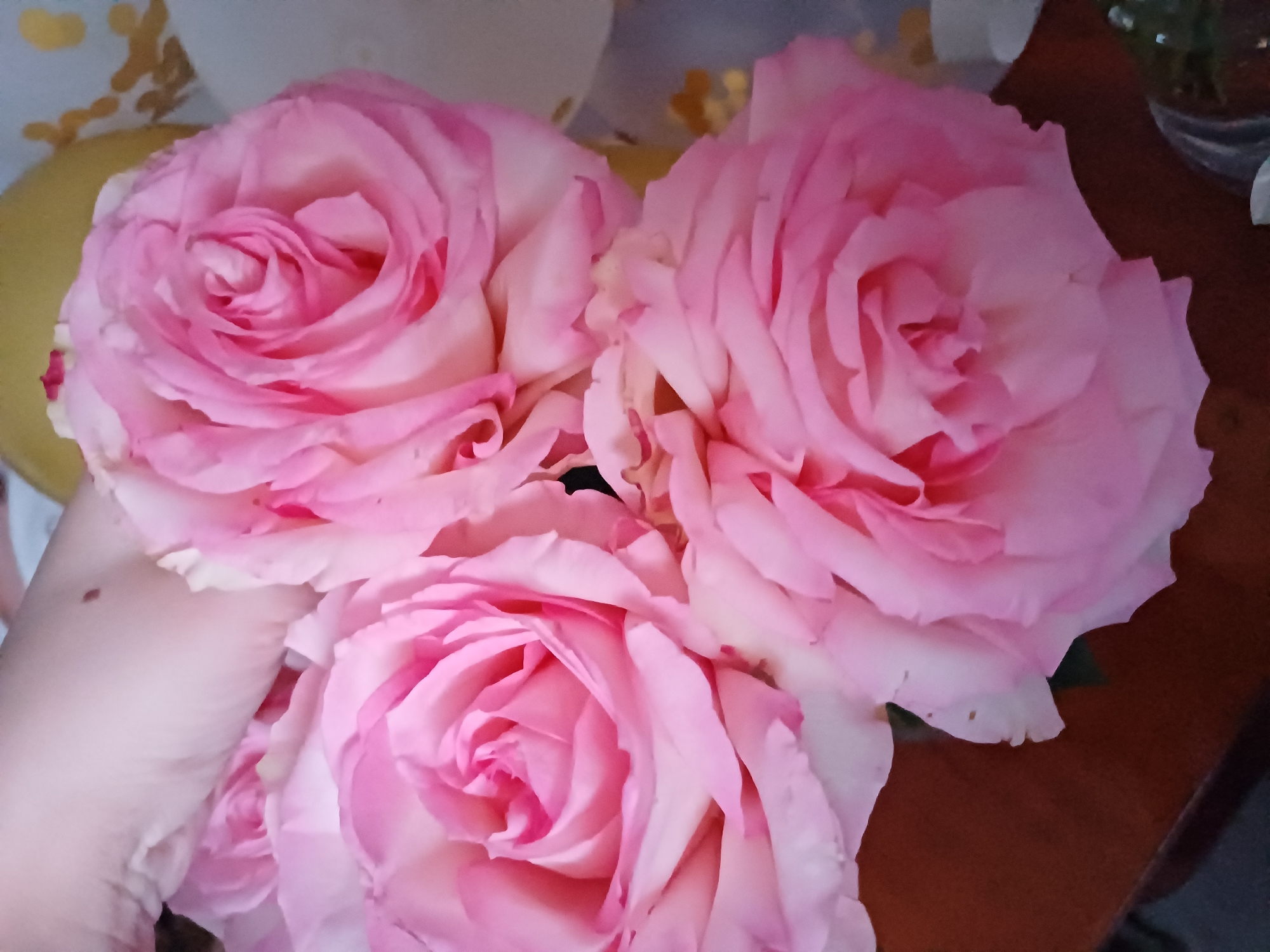 A close-up, vertical, eye-level shot displays a bouquet of three large, soft pink roses arranged in a cluster. The roses are the primary focus, with their layered petals in varying shades of pink and white, creating a textured and delicate appearance. The background is softly blurred, hinting at a surface that appears to be a dark, wooden tabletop, and a patterned fabric or wallpaper with hints of yellow and gold accents. A human hand, with visible skin tone and a small mole, is partially visible at the top left, gently holding the roses. The lighting is soft, emphasizing the gentle curves and luminous quality of the rose petals. The scene is static, with no discernible action or interaction beyond the implied holding of the flowers.