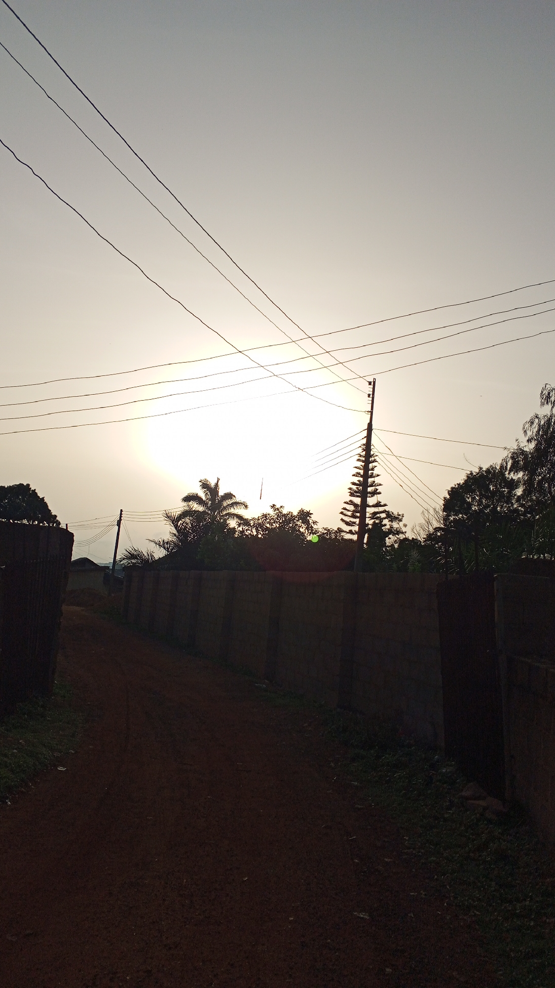 The image depicts a dirt road receding into the distance between two tall walls. Power lines run overhead, silhouetted against a bright sky with a visible sun. Silhouetted trees and foliage are visible behind the walls, including a palm tree and a tall, conical evergreen tree. The location appears to be an alleyway or road on the outskirts of a residential area. The location is city of Unknown, Unknown.