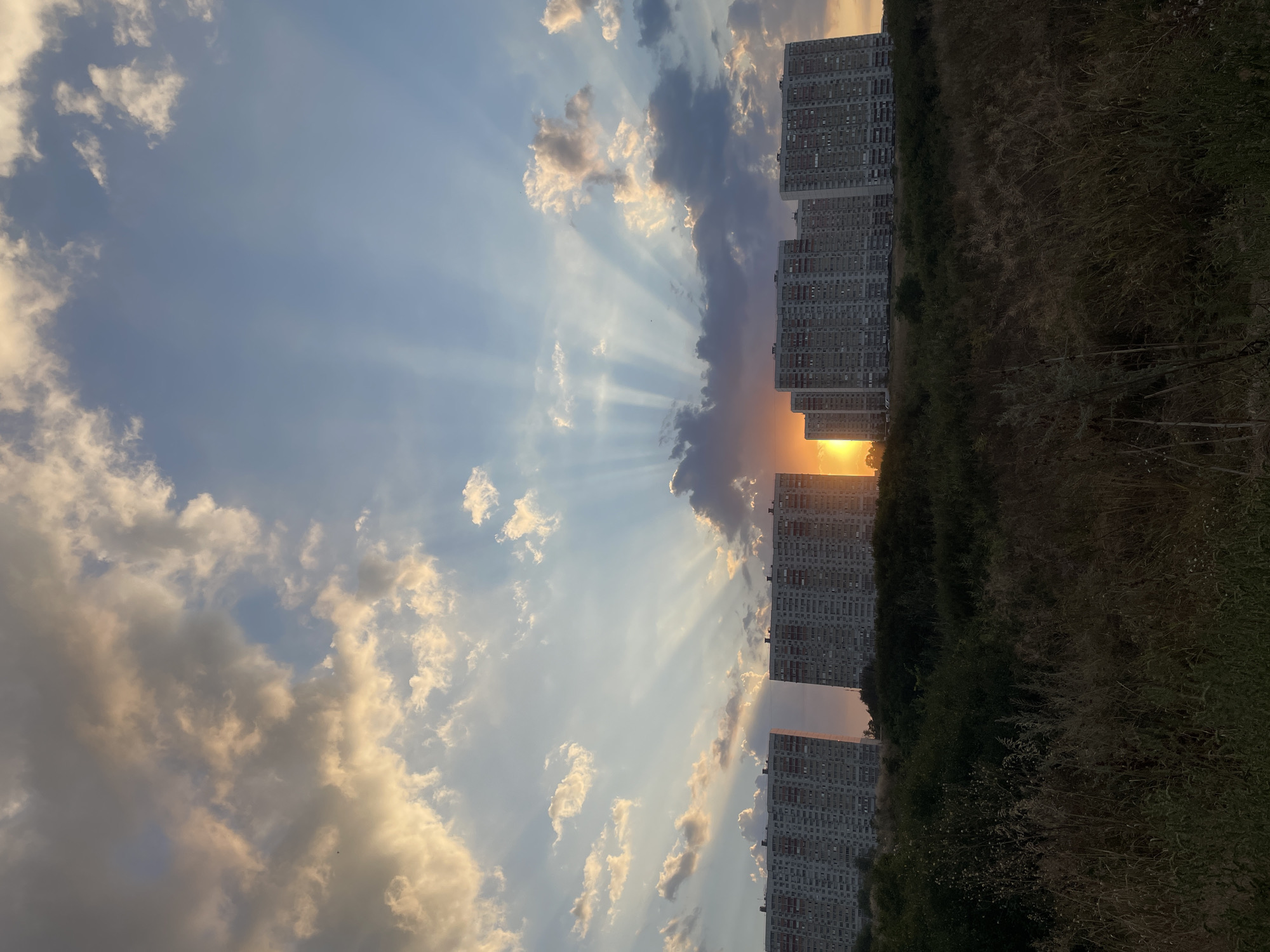 The image depicts a panoramic view of residential buildings in the city of Rostov-on-Don, Russia, at sunset. The sun is low on the horizon, casting a warm orange glow and creating dramatic crepuscular rays that fan out across the sky. The sky is a blend of blue and scattered clouds, some of which are illuminated by the setting sun, creating a dramatic contrast.
In the foreground, there is a field of dry grass and vegetation, suggesting a natural or semi-natural area bordering the urban landscape. Beyond this field, a series of identical, large, multi-story residential buildings, likely apartment complexes, stretch across the horizon. These buildings are characterized by their uniform architectural style, with rows of windows and balconies. The sunset light creates a silhouette effect on parts of the buildings, while other sections are illuminated by the golden rays.
The scene is devoid of people, emphasizing the architectural and natural elements of the landscape. The overall impression is one of urban development meeting a natural environment during a beautiful sunset. The location is identifiable as Rostov-on-Don due to the distinctive architecture of the residential buildings, which are common in some of the city's neighborhoods.