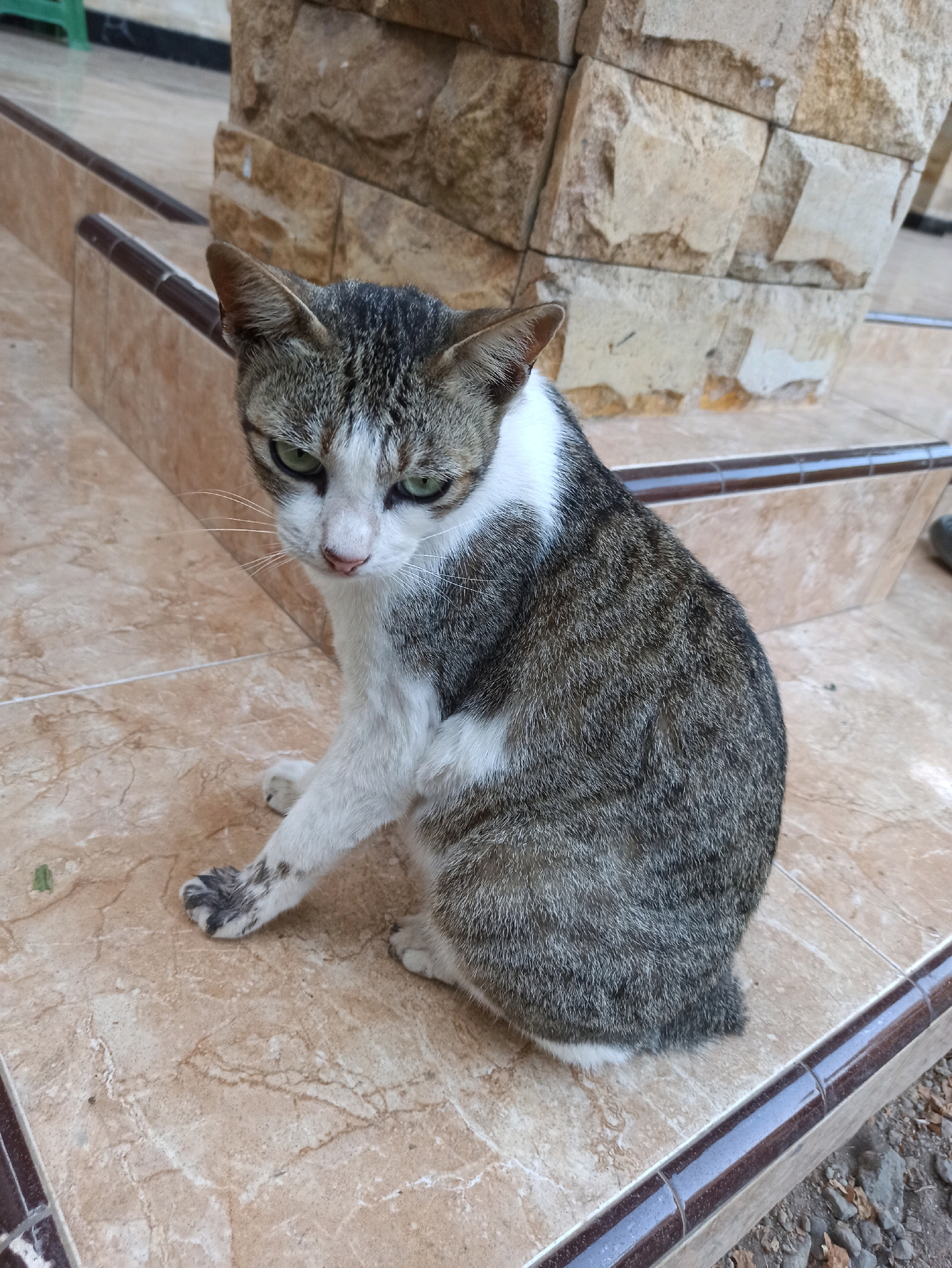 A grey and white tabby cat with green eyes is sitting on a tiled floor in front of a stone-clad pillar and tiered steps. The cat is looking to its left, with its body angled slightly away from the camera. Its fur is mottled grey and white, and it has white markings on its face and chest. The tiles are a light brown color with darker veining. The stone pillar is made of rough-hewn blocks of varying shades of beige and tan. The steps are also tiled in the same light brown color as the floor, with a darker brown trim along the edges. The background is slightly blurred, suggesting the photo was taken outdoors in an urban environment. The cat appears alert and watchful.