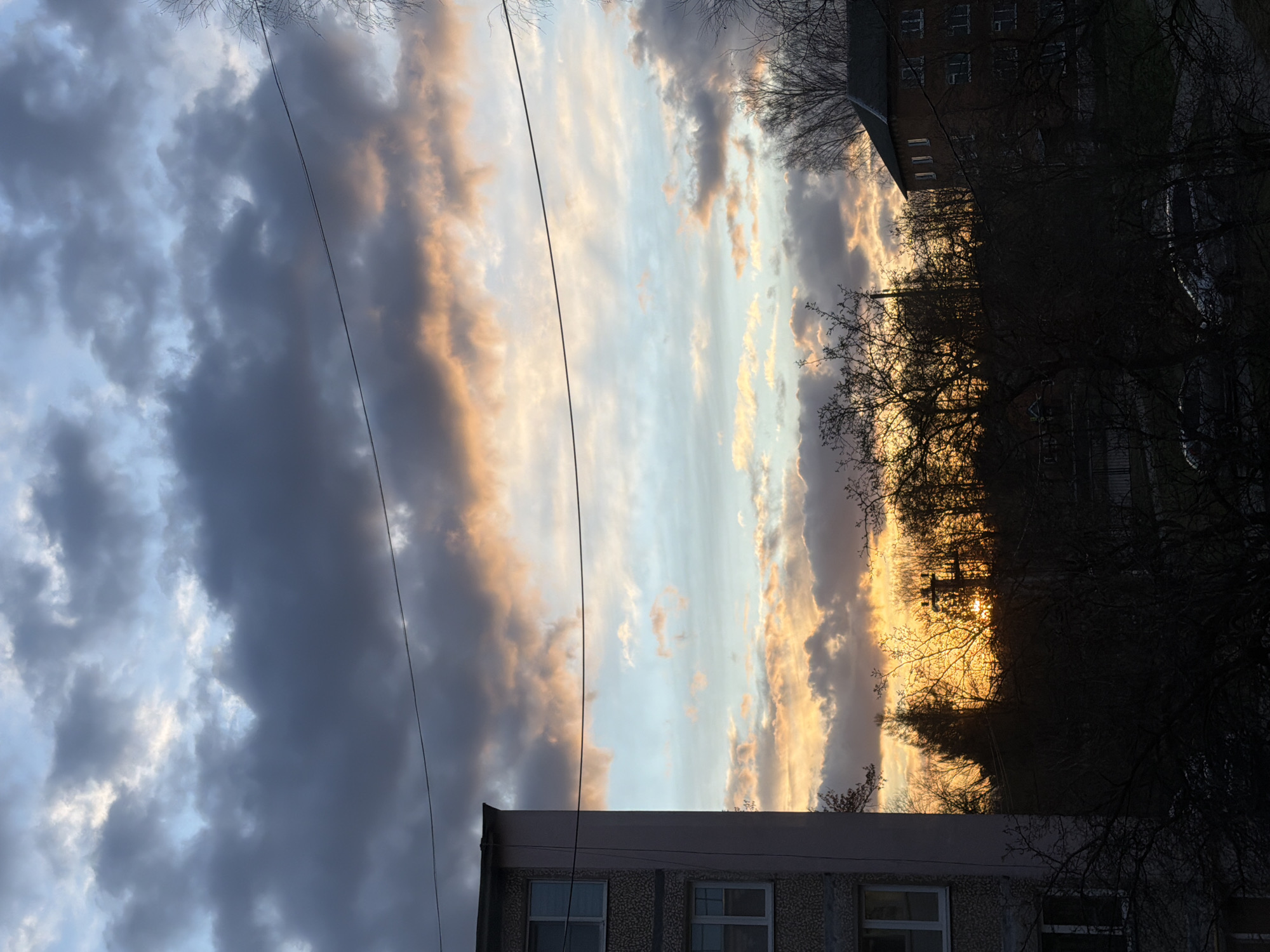 The image shows a cloudy sky at sunset with a glimpse of sunlight filtering through trees. Silhouetted buildings and bare tree branches are visible in the foreground. Power lines cut across the sky. The location is indicated as Reshetnikovo, Russia.
