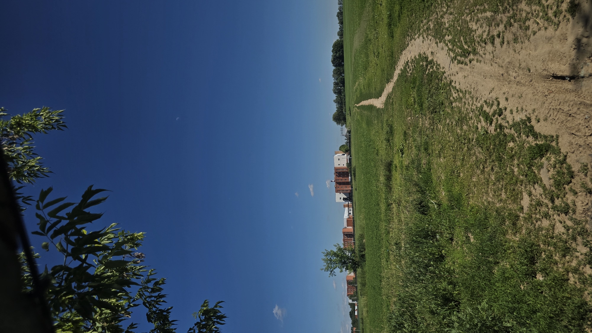An outdoor, eye-level, vertical shot captures a dirt path winding through a green field under a clear blue sky. The path is in the lower right of the frame, with the field dominating the middle and lower left. In the distance, several brick buildings and a few trees are visible. Lush green foliage hangs from the top left corner of the image, partially obscuring the sky. The overall scene depicts a sunny day in an open, rural area on the outskirts of an urban setting.