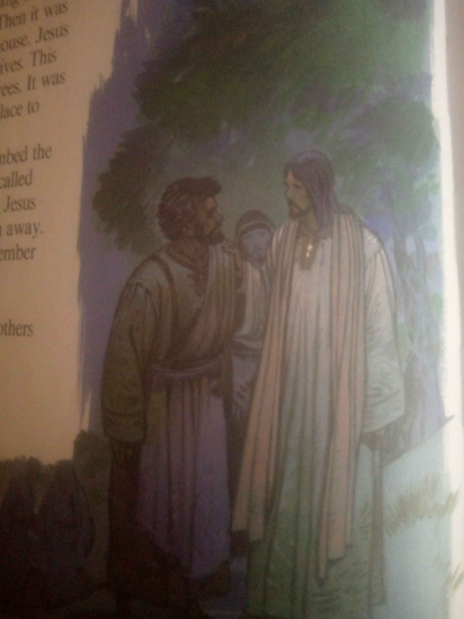 The image shows an illustration of two men and another figure partially visible, standing in an outdoor setting with trees. The two prominent figures appear to be Jesus, distinguished by his attire and beard, and another man with a beard and a darker tunic. Jesus is depicted wearing a white robe with vertical folds, and the other man is in a purple tunic with a sash. The background consists of green foliage, suggesting a natural environment. Text is visible on the left side of the image, but it is partially obscured and difficult to read in its entirety. No specific details about the city of Jauro Yinu, Nigeria, can be inferred from the image itself.