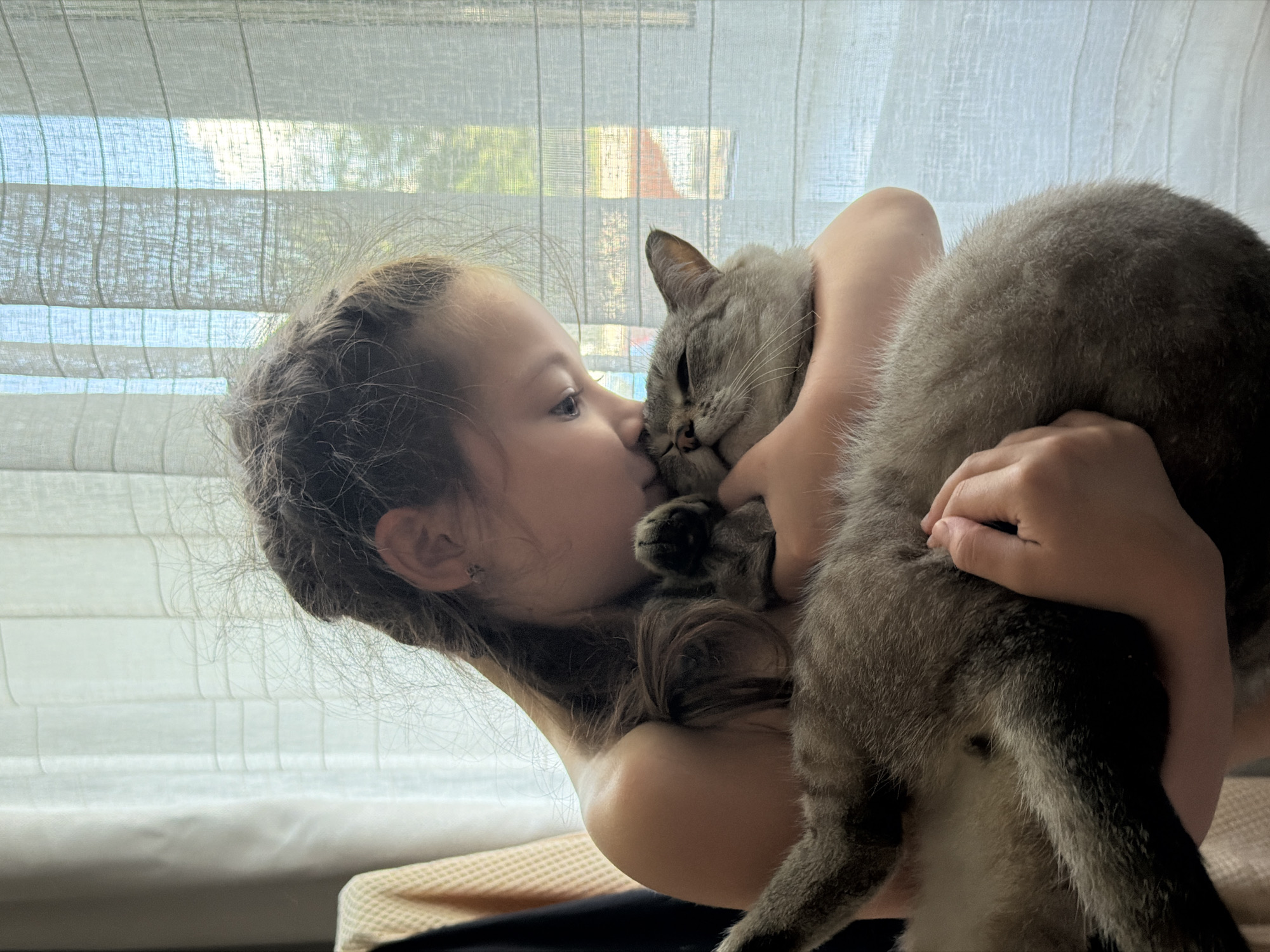 A young girl is embracing and kissing a grey cat. She is holding the cat in her arms, and her face is pressed against its head. The cat appears relaxed, with its eyes closed. The girl has her hair in a braid and is wearing a light-colored top. They are positioned in front of a window with sheer curtains, which are filtering natural light into the room. The background suggests an indoor setting, possibly a home. The image quality is good, capturing the tender moment between the girl and the cat. There is no indication of the city of Perm, Russia, in the image itself.