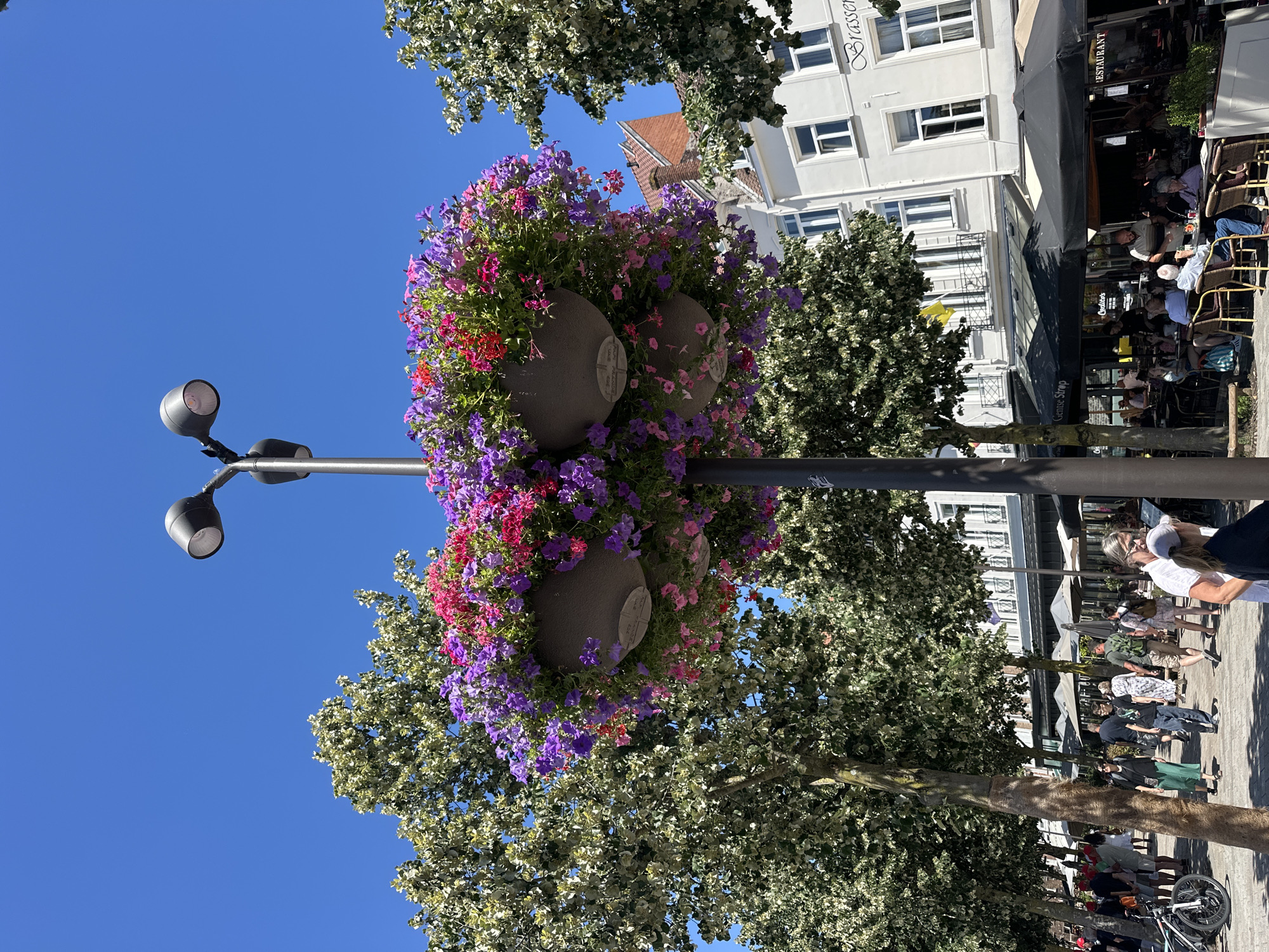 This is a photograph taken from a street-level perspective, looking up towards a lamppost adorned with two large hanging baskets overflowing with vibrant purple and pink flowers. The lamppost has two lights at its top, angled downwards. Behind the lamppost, a clear blue sky dominates the upper portion of the image.
In the middle ground, a street scene unfolds. Numerous people are walking along a paved walkway lined with trees that have light-colored foliage and dark trunks. Several restaurants with outdoor seating are visible. These restaurants have black awnings and tables with chairs. The buildings in the background are light-colored, with multiple windows and pitched red roofs. One building has signage that includes the word "Brasserie."
In the foreground, to the left, a portion of a bicycle is visible, leaning against what appears to be a tree trunk. The overall atmosphere suggests a sunny day in a bustling urban environment, likely a European city. The location is identified as Bruges, Belgium, which is known for its picturesque canals and historic architecture. The scene captures a moment of everyday life in a lively public space, highlighting the decorative elements of the streetscape and the presence of people enjoying the outdoor ambiance of the city.