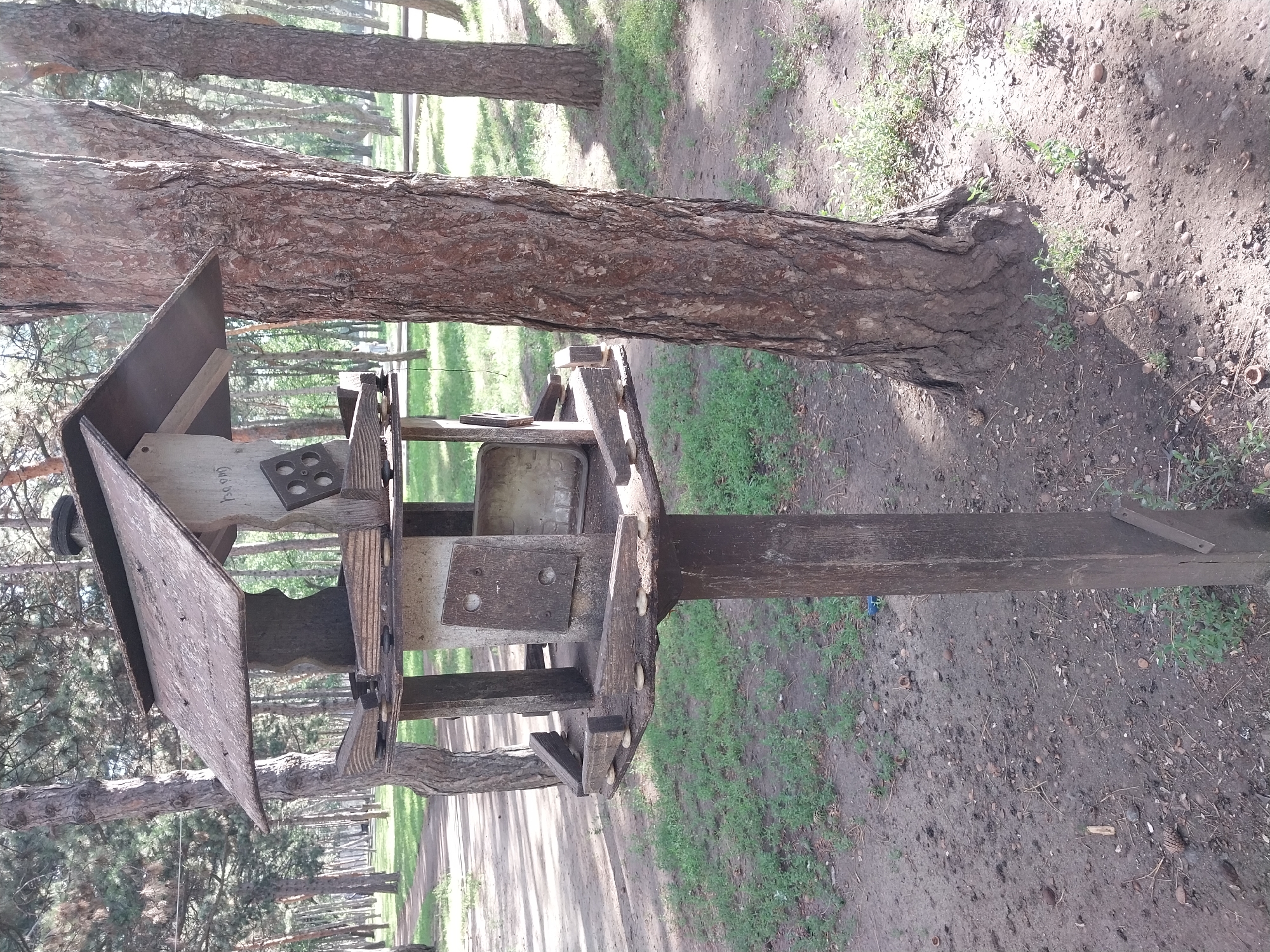 An outdoor, eye-level, medium shot captures a weathered wooden bird feeder in a park-like setting. The bird feeder is mounted on a tall, dark wooden post. The feeder itself is a multi-tiered structure with a sloped, tin-covered roof. The lower sections of the feeder appear to be constructed from rough-hewn wood and concrete, with some metal elements. The scene is set amongst a grove of tall, slender pine trees, their trunks textured and rough. The ground is covered with dirt, scattered pinecones, and sparse green grass. Sunlight filters through the trees, casting dappled shadows on the ground. In the background, a dirt path winds through the trees, and a few indistinct figures can be seen walking in the distance. The overall atmosphere is one of quiet, natural serenity. The style of the bird feeder and the presence of mature pine trees are consistent with many parks and public green spaces within the city of Dnipro, Ukraine.