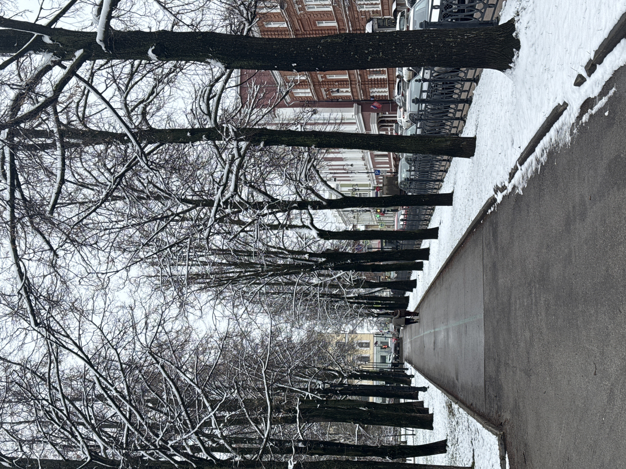 The image captures a tranquil winter day scene along a snow-dusted urban avenue, likely in Perm, Russia. A prominent row of tall, deciduous trees with dark, bare branches heavily laden with fresh snow lines the left side of the frame, extending into the distance. Their thick, textured trunks stand out against the muted background. To the right of the trees, a wide, dark grey paved path or sidewalk recedes diagonally into the background, narrowing with perspective.
Snow covers the ground beneath the trees and forms a clean white border along the left edge of the paved path. Behind the line of trees on the far left, multi-story urban buildings with reddish-brown brick facades and multiple windows are visible. Several light-colored cars are parked parallel to the street in front of these buildings, separated from the trees by a dark, ornate metal fence.
In the far distance, at the end of the avenue, a blurry red traffic light and a yellow building are discernible. Two small, indistinct figures, likely people bundled in winter clothing, are seen walking away from the viewer on the paved path. The sky is a uniform, bright, light grey, indicating an overcast winter day with diffused light and no harsh shadows. The overall color palette is muted, dominated by shades of grey, white, and dark brown, lending a serene and quiet atmosphere to the urban landscape. A very small, blurry 'P' sign (possibly indicating parking) can be faintly seen in the background near the parked cars. No other legible text is visible.
