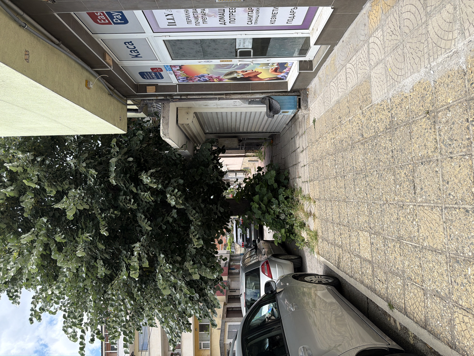 The image depicts a street scene in Pazardzhik, Bulgaria, dominated by a large, leafy tree. In the foreground, a section of sidewalk is visible, paved with textured square tiles. To the left, the side of a silver car is parked along the curb. Further back, other cars are parked on the street. On the right side of the image, a building fronts the sidewalk, featuring a storefront with a glass door and windows. Signs on the storefront indicate it is a commercial establishment. A metal rolling shutter is visible on an adjacent shop. The environment suggests an urban setting, likely a commercial street.