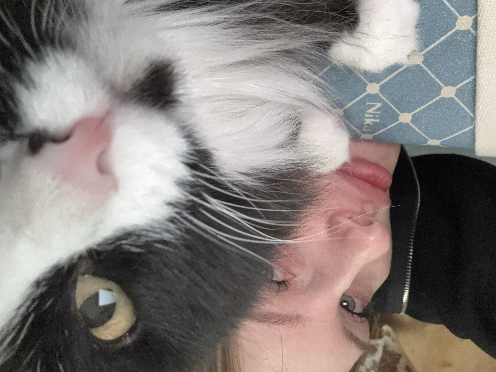 A close-up, tilted image shows a woman and a black and white cat. The cat is positioned on the upper left portion of the image, with its face close to the camera. The cat has a pink nose and one visible yellow eye. The woman is on the lower right. Her face is close to the cat, and a portion of her tongue is visible. The woman has fair skin and dark hair. A patterned blue and white fabric is visible behind the cat, with the name "Nika" visible on the fabric. The environment does not provide information to specify the city of Perm, Russia.