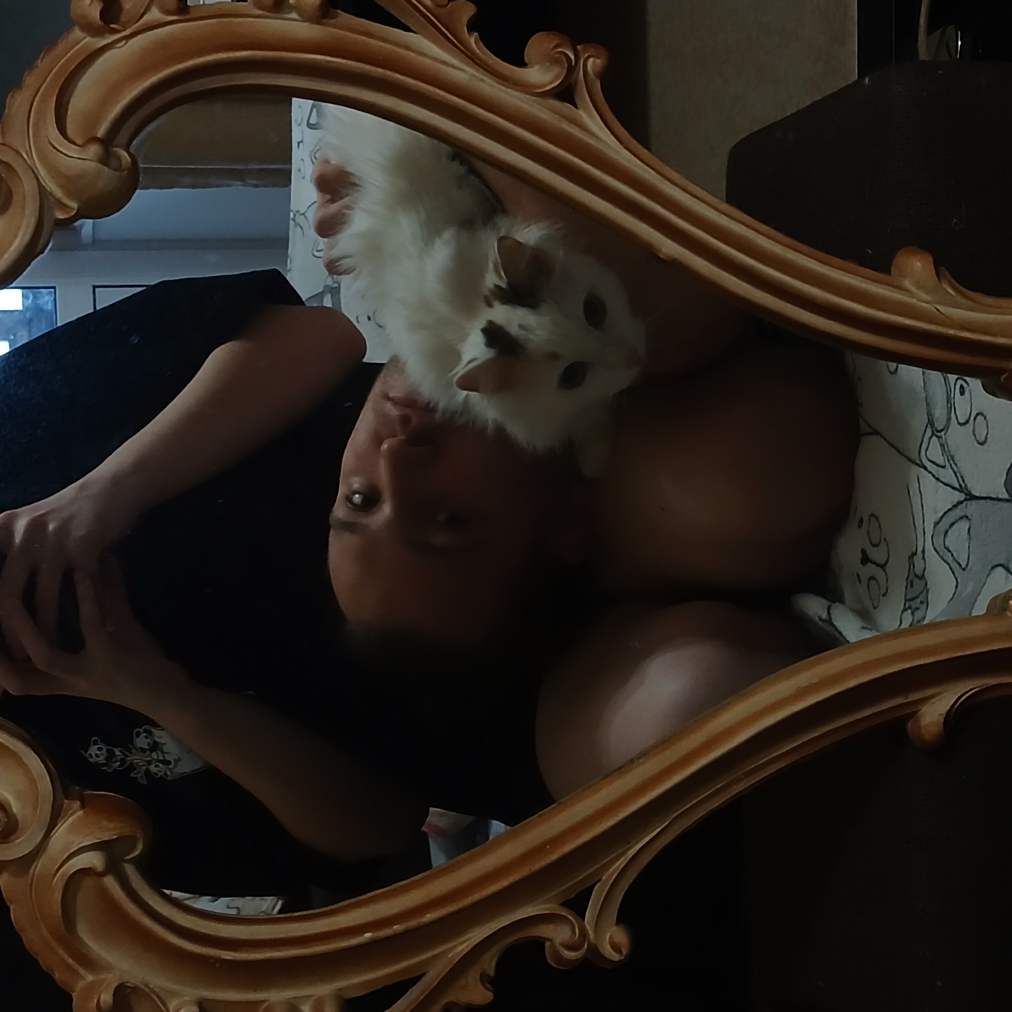 This intimate indoor scene captures a person taking a mirror selfie while lying down with a cat perched on their chest. The entire image is a reflection within a large, ornate mirror, featuring a decorative, carved gold-colored frame that partially borders the view.
The person, reflected upside down, wears a dark top and holds a device, likely a smartphone, to capture the image. Their face is visible, looking directly into the reflected camera with a neutral expression. Resting comfortably on their chest and shoulder is a small, fluffy cat with predominantly white fur marked by patches of brown, orange, and black. The cat's dark eyes are visible, and it appears relaxed, looking slightly past the person's head.
The background is somewhat indistinct due to the reflection and subdued lighting. A patterned pillow or blanket with abstract or cartoonish designs is visible behind the person's head, suggesting a comfortable, personal space like a bedroom or living room. The dim lighting implies it could be evening, early morning, or an interior with artificial light. The overall mood is quiet and personal, focusing on the interaction between the person and their pet. No visible text is present in the image. The location context for this scene is Yekaterinburg, Russia.
