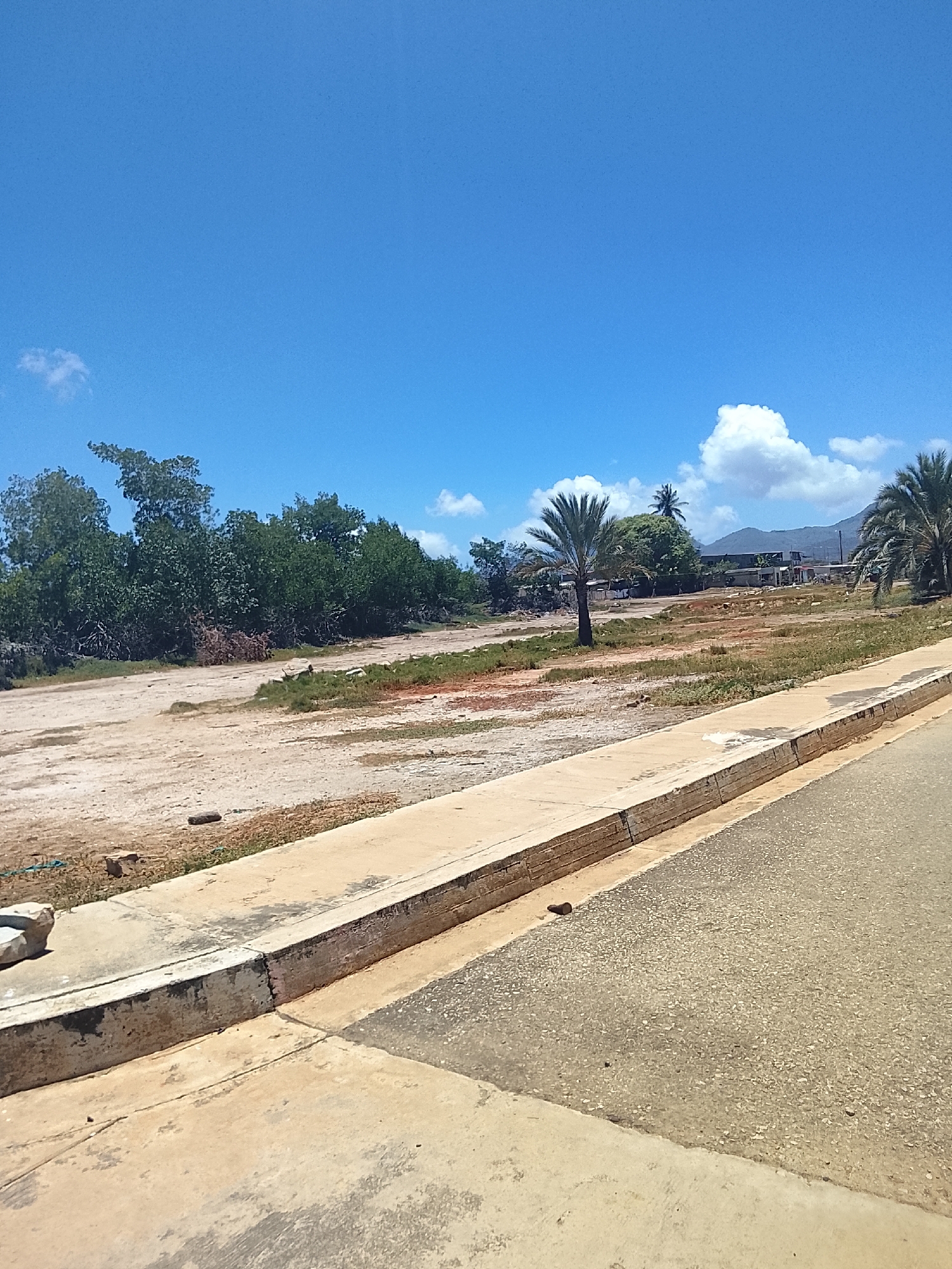 The image captures a sunlit, open landscape in Juan Griego, Venezuela, under a clear blue sky. In the foreground, a section of asphalt road is visible on the right, leading up to a sturdy concrete sidewalk and curb. Beyond this, a wide, undeveloped expanse of land dominates the mid-ground, characterized by a mix of light brown, dry earth and patches of sparse, greenish-brown grass.
To the left side of the open land, a dense line of lush green trees forms a backdrop, suggesting untouched natural vegetation or a forested area. Further into the scene, several distinct palm trees stand tall, with one prominently in the mid-right. In the far background, faint outlines of buildings or structures can be seen, nestled against a range of distant, hazy mountains. The sky is a vibrant blue with scattered white cumulus clouds, indicating fair weather.
There are no people or specific activities taking place, giving the scene a quiet, somewhat uninhabited feel. The strong sunlight and bright illumination suggest it is daytime, likely mid-morning or early afternoon. No visible text is present in the image. The overall impression is one of natural landscape with some evidence of human infrastructure (road, sidewalk) and distant development, typical of a coastal or tropical region.
