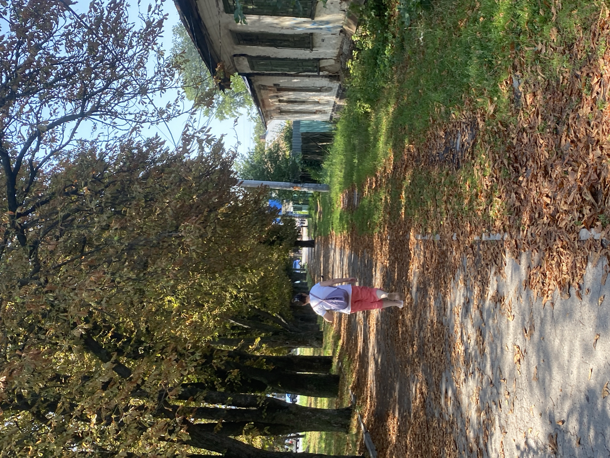 The image depicts a person walking along a tree-lined path covered with fallen autumn leaves. The path is adjacent to a grassy area and a dilapidated white building with green-shuttered windows. The trees lining the path have yellowing leaves, indicating the autumn season. The sky is clear and blue. The scene appears to be on a sidewalk or pathway in a residential area, possibly in Poltava, Ukraine, given the architectural style of the building and the deciduous trees. The person is wearing a white t-shirt and pink shorts, and carrying a light-colored backpack. They are walking away from the camera towards the distance.