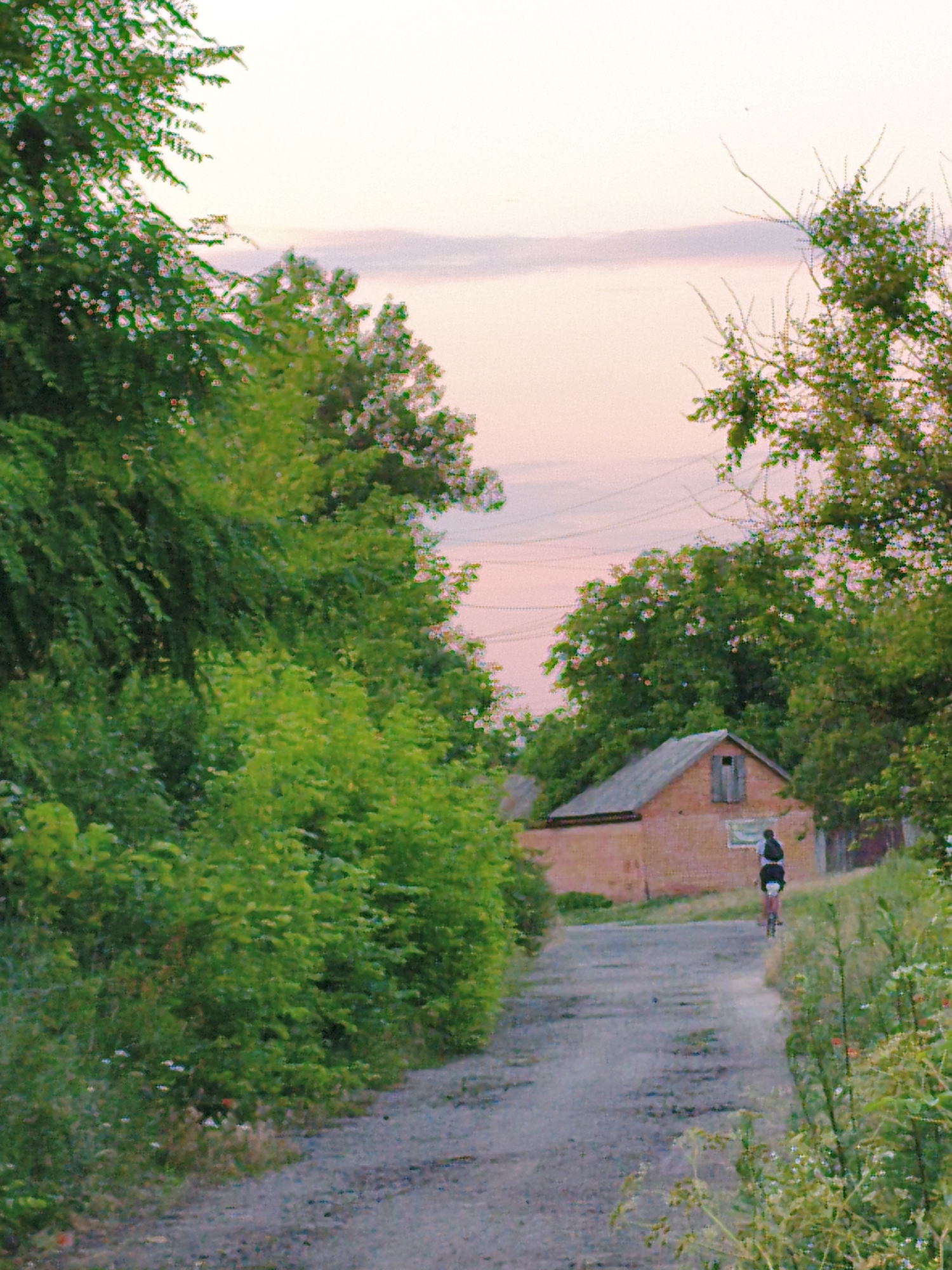 The image depicts a rural scene, likely in Ustyvytsia, Ukraine, during the late afternoon or early evening. A dirt road curves through lush green foliage. On the right side of the road, a brick building with a pitched roof and a single window is visible. A person is riding a bicycle away from the camera down the road, towards the building. The sky is a soft pink, suggesting sunset. The overall atmosphere is serene and tranquil.