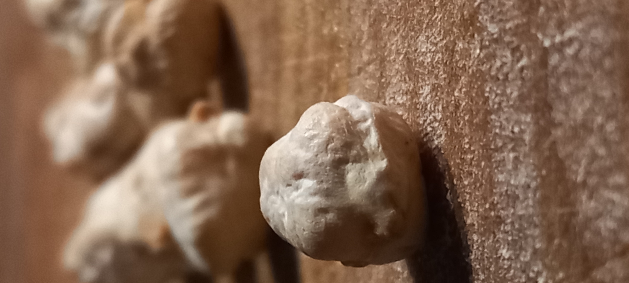 The image displays a close-up, macro-level perspective of multiple dried chickpeas on a textured, light brown surface. The foreground features a single, light-beige chickpea, sharply in focus, exhibiting a wrinkled surface texture and casting a distinct shadow to its right. Behind it, several additional chickpeas are visible, progressively blurred due to a shallow depth of field, appearing as indistinct, light-colored shapes. The supporting surface shows a granular, fibrous texture, particularly pronounced in the lower portion of the frame. The scene is illuminated by warm, directional lighting. This image is associated with the city of Kryvyi Rih, Ukraine.