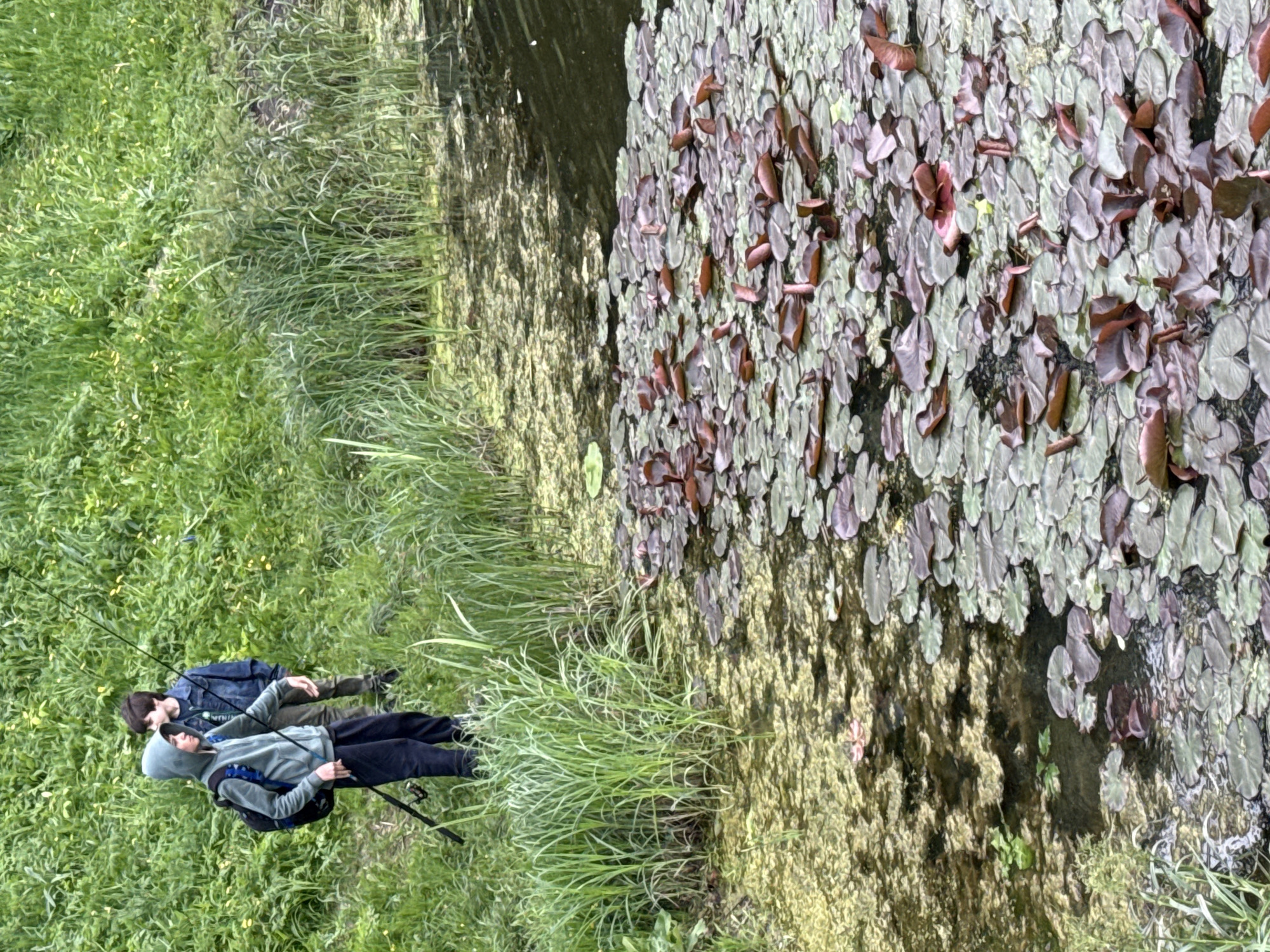 Two individuals are positioned near a body of water covered in lily pads. They are likely fishing, as fishing rods are visible. The environment consists of grass and foliage along the water's edge. The location is inferred to be in Moscow, Russia, based on the presence of lily pads in the water, as they are a common aquatic plant in that region. However, there is no further evidence or information in the image to definitively confirm this location.
